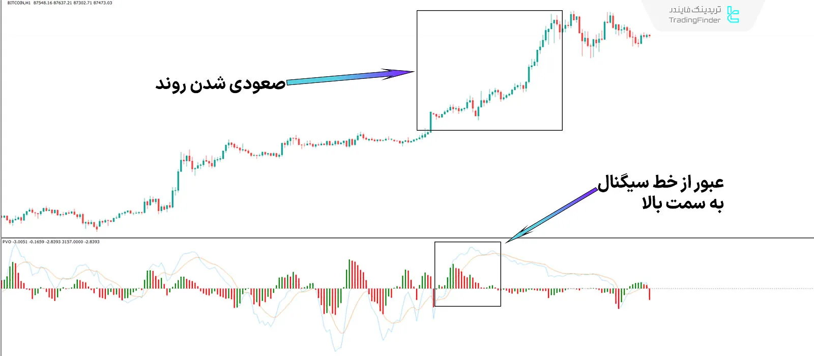دانلود اسیلاتور حجم درصدی (Percentage Volume) متاتریدر 4 - رایگان - [تریدینگ فایندر] 1