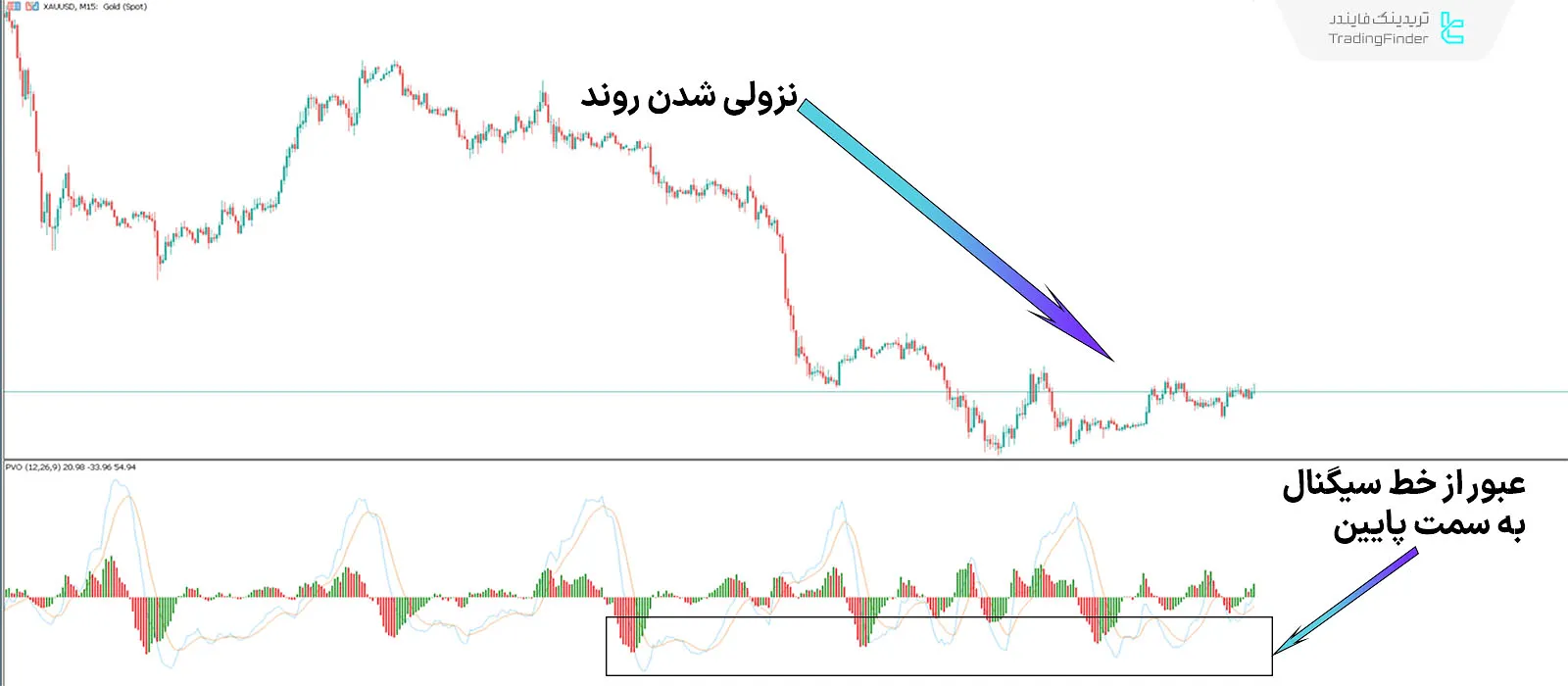 دانلود اسیلاتور حجم درصدی (Percentage Volume) متاتریدر 5 -  رایگان - [تریدینگ فایندر] 2