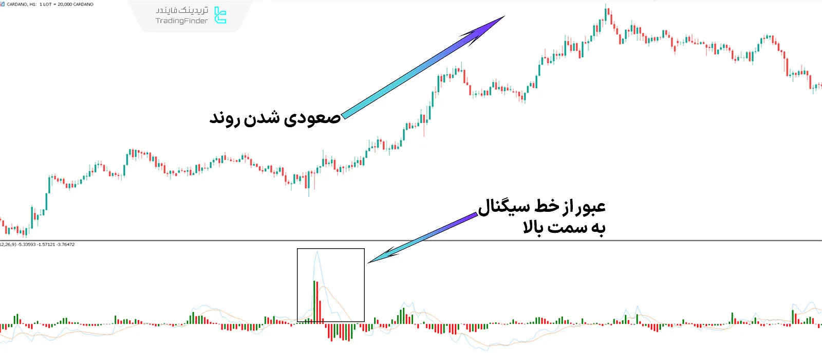دانلود اسیلاتور حجم درصدی (Percentage Volume) متاتریدر 5 -  رایگان - [تریدینگ فایندر] 1