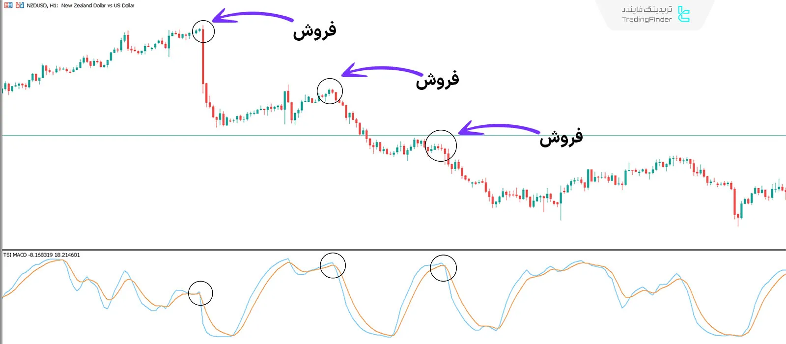 دانلود اندیکاتور مکدی شاخص قدرت واقعی (TSI MACD) در متاتریدر 5 - رایگان - [تریدینگ فایندر] 2
