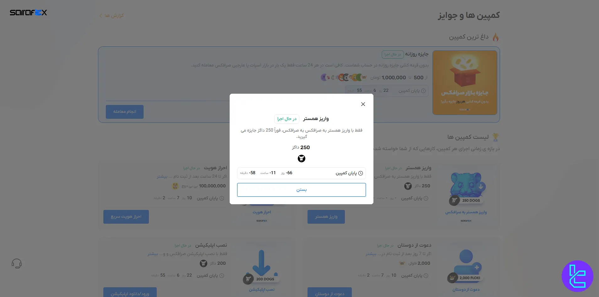 جایزه همستر