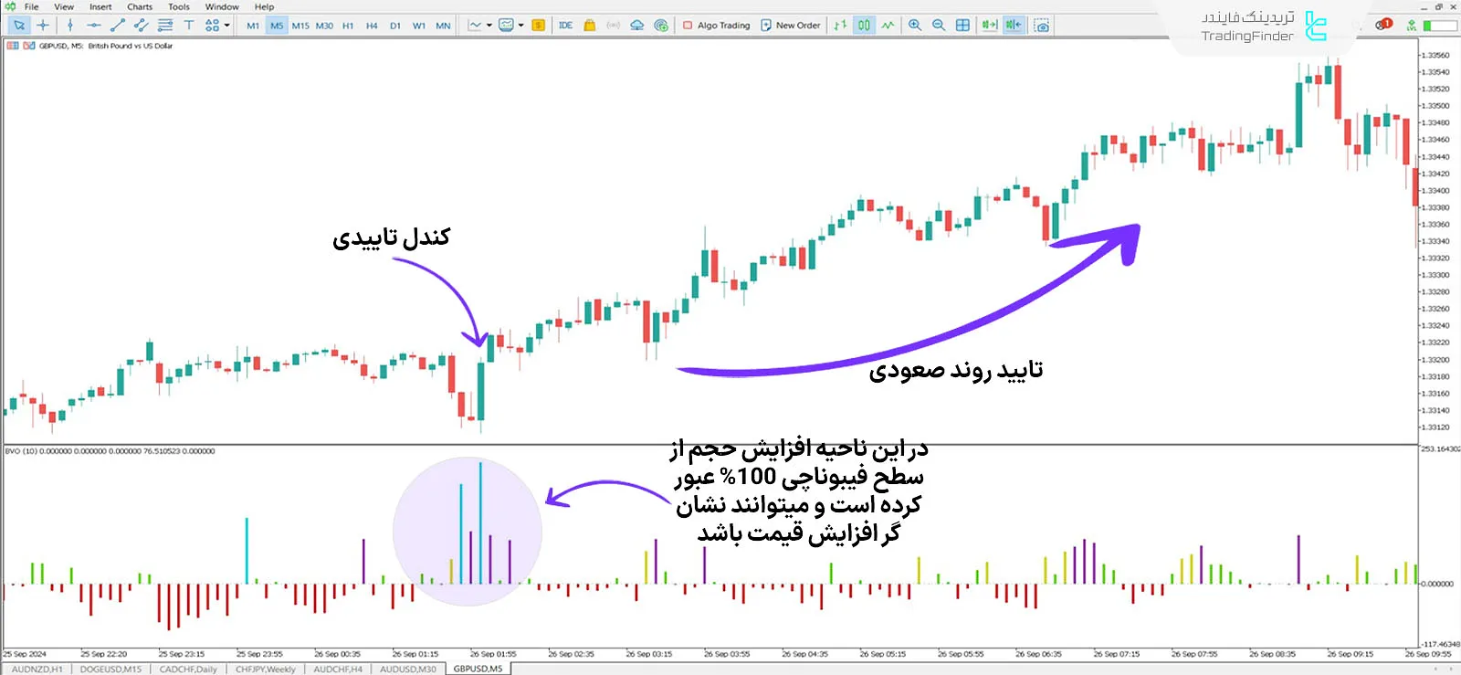 دانلود اندیکاتور نوسانگر حجم تعادلی (Balanced Volume Oscillator) در متاتریدر 5 - رایگان 1