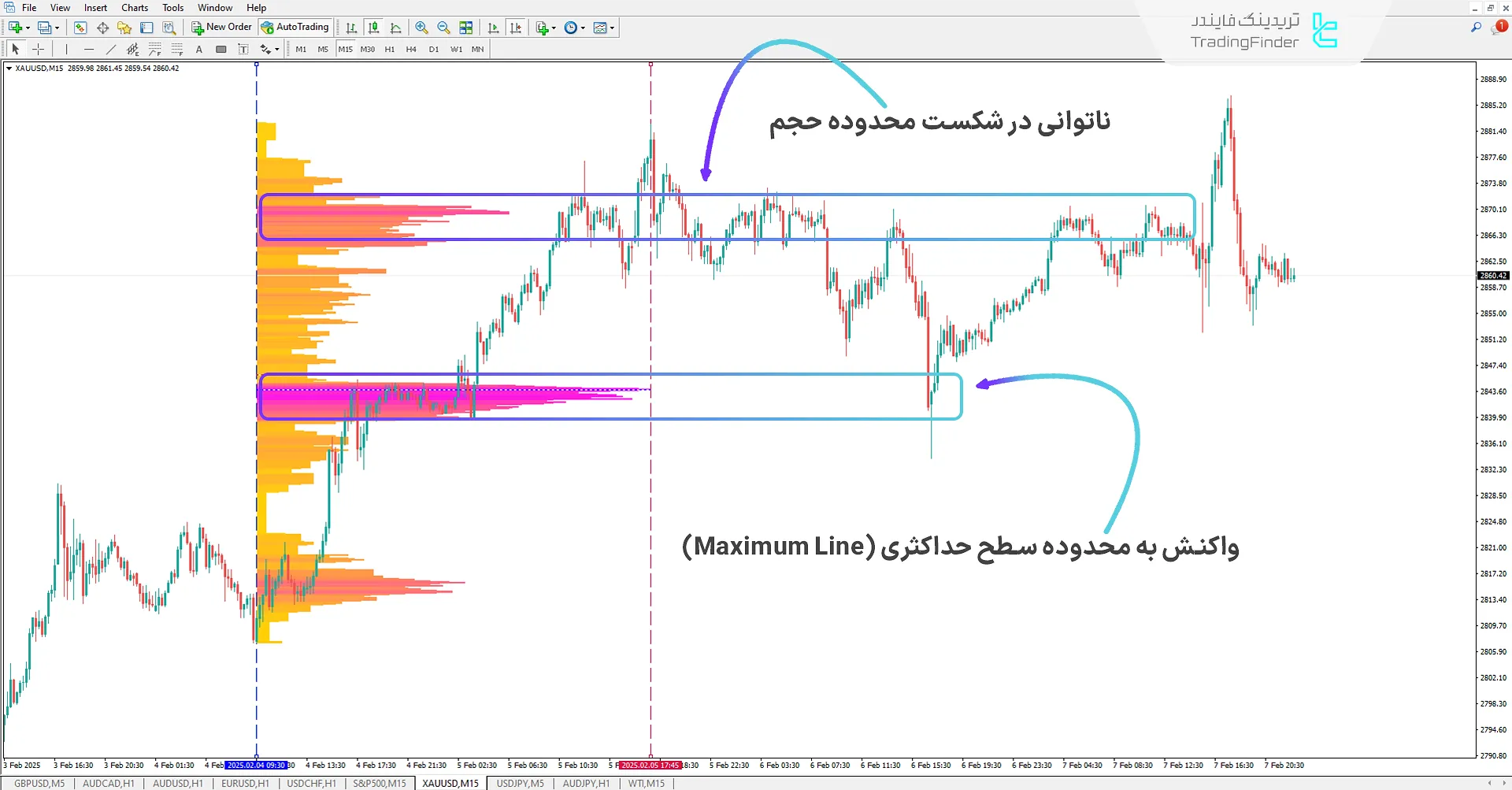 دانلود اندیکاتور پروفایل حجم محدوده (Range Volume Profile) در متاتریدر 4 - [تریدینگ فایندر] 1