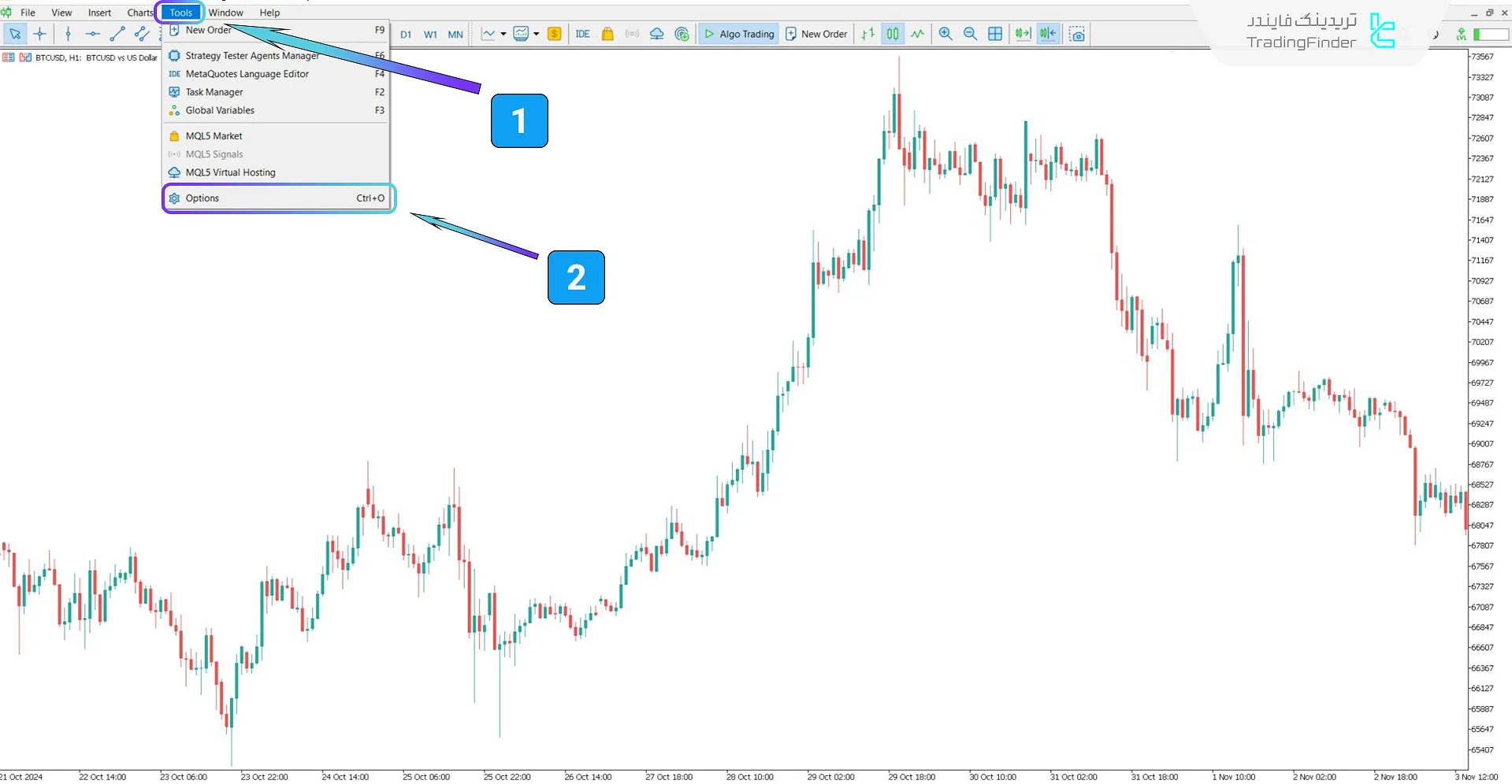 ورود به پنجره "Options" در بخش "Tools"