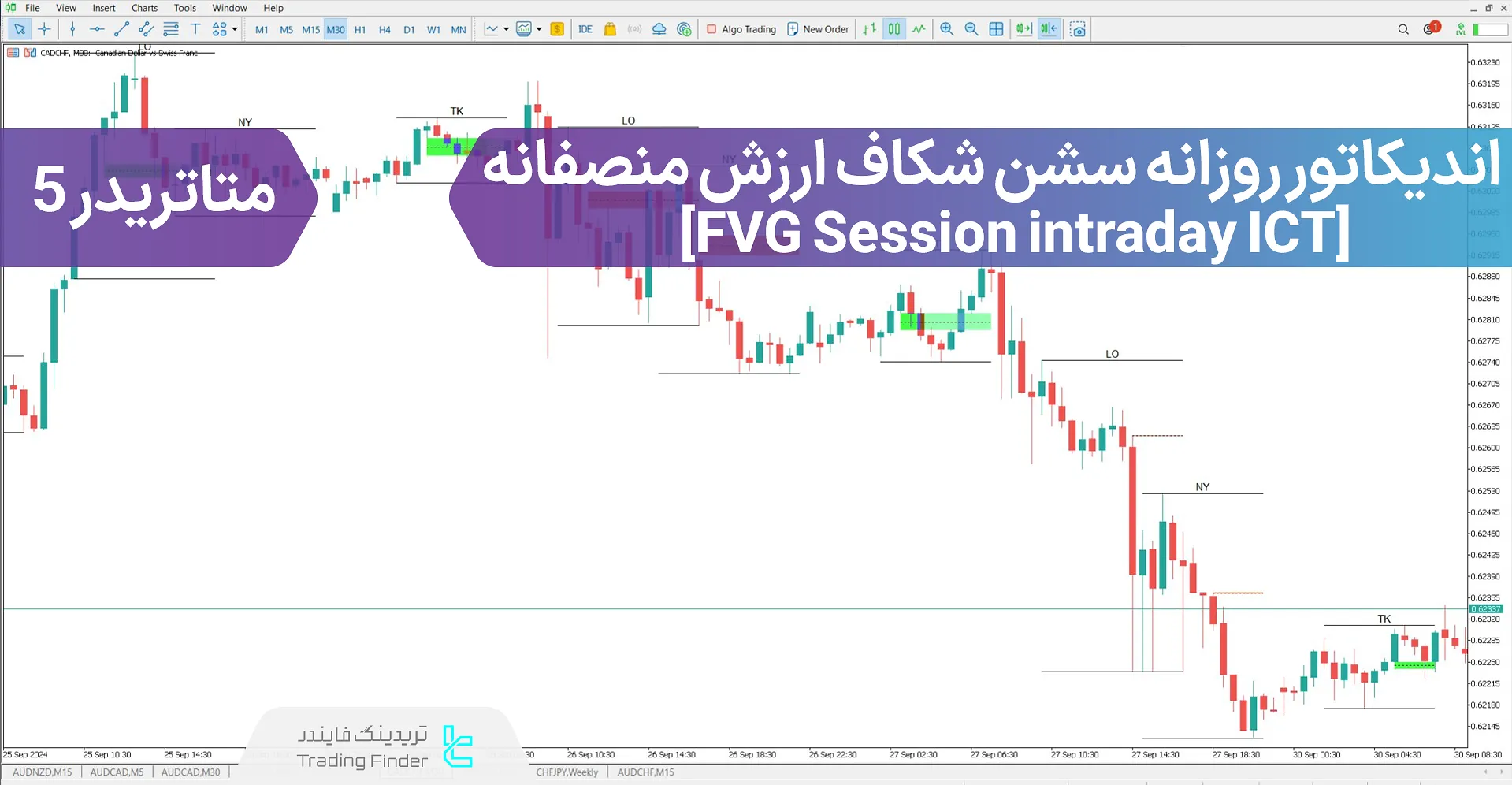 دانلود اندیکاتور روزانه سشن FVG (Sessions Intraday) در متاتریدر 5