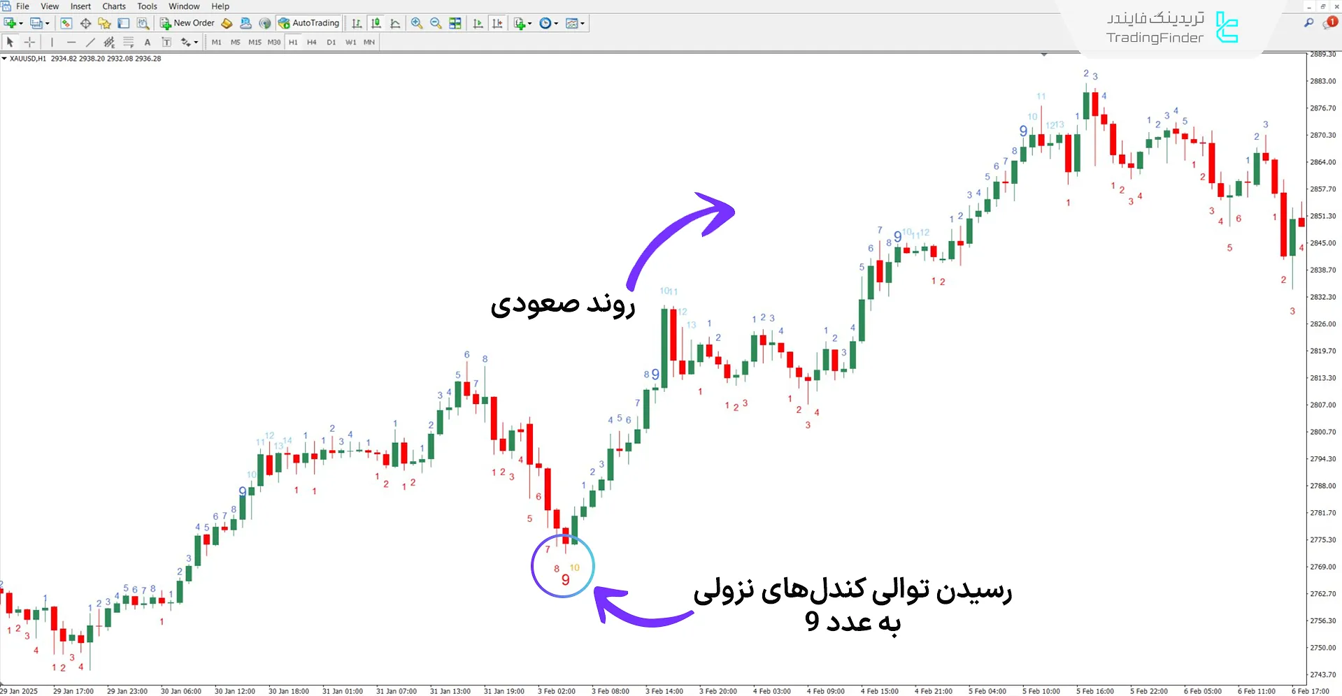 دانلود اندیکاتور توالی TD (TD Sequential) در متاتریدر 4 - [تریدینگ فایندر] 1