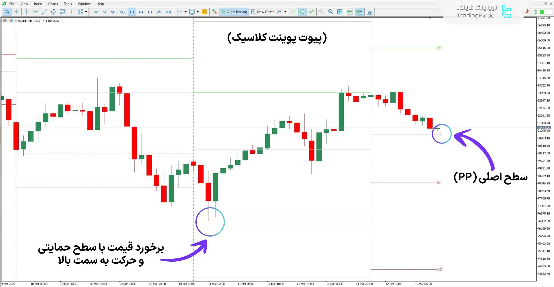 دانلود اندیکاتور تمام نقاط پیوت (All Pivot Points) برای متاتریدر 5 - رایگان 1