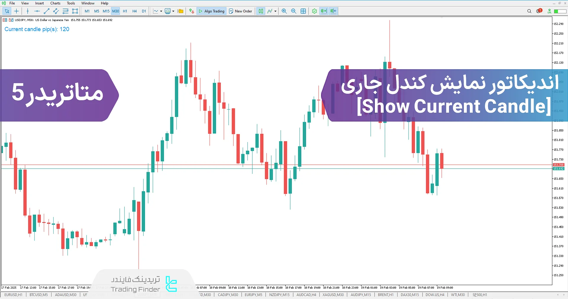 دانلود اندیکاتور نمایش کندل جاری (SCC) در متاتریدر5 - رایگان - [تریدینگ فایندر]