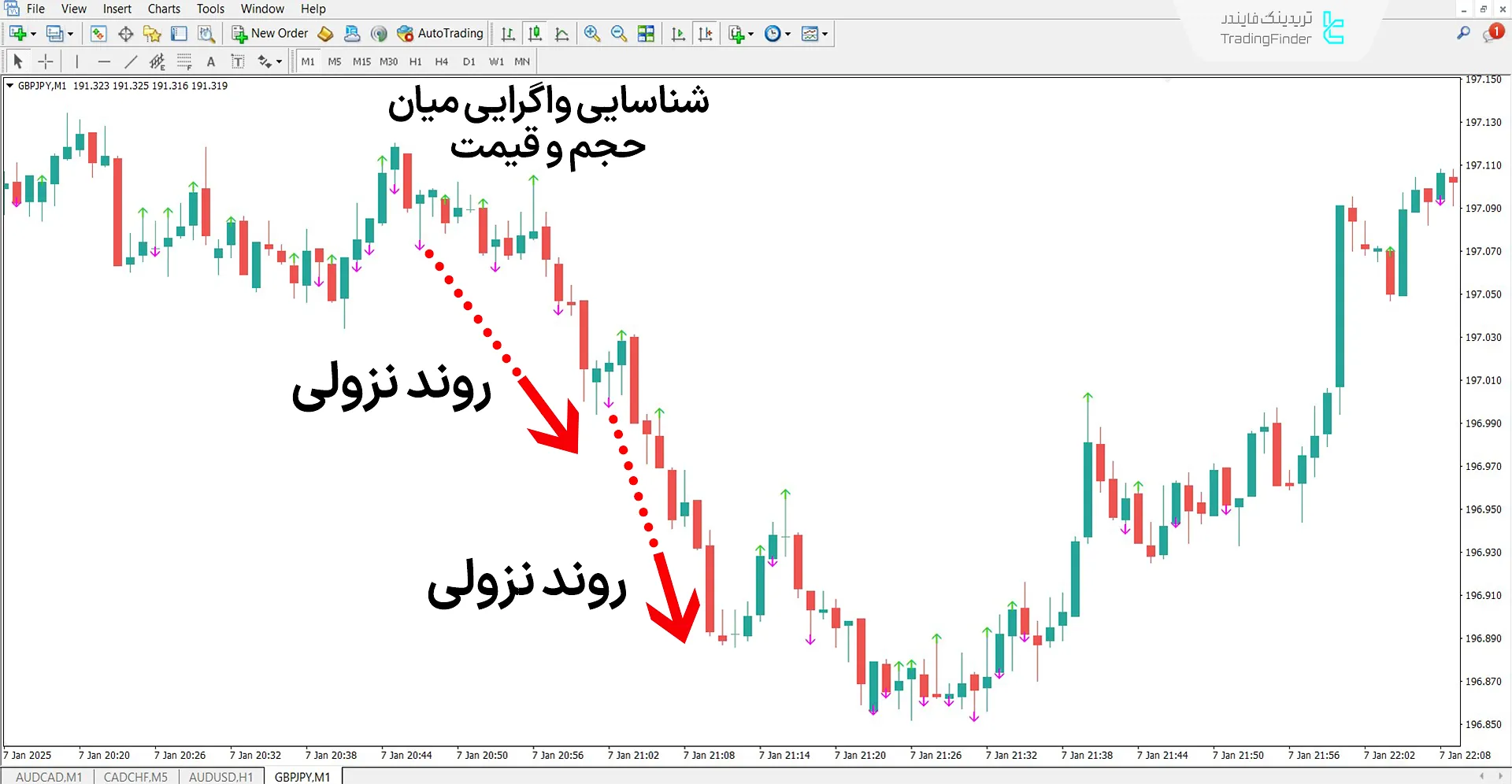 دانلود اندیکاتور واگرایی حجم (Price Volume Divergence) در متاتریدر 4 - رایگان 2