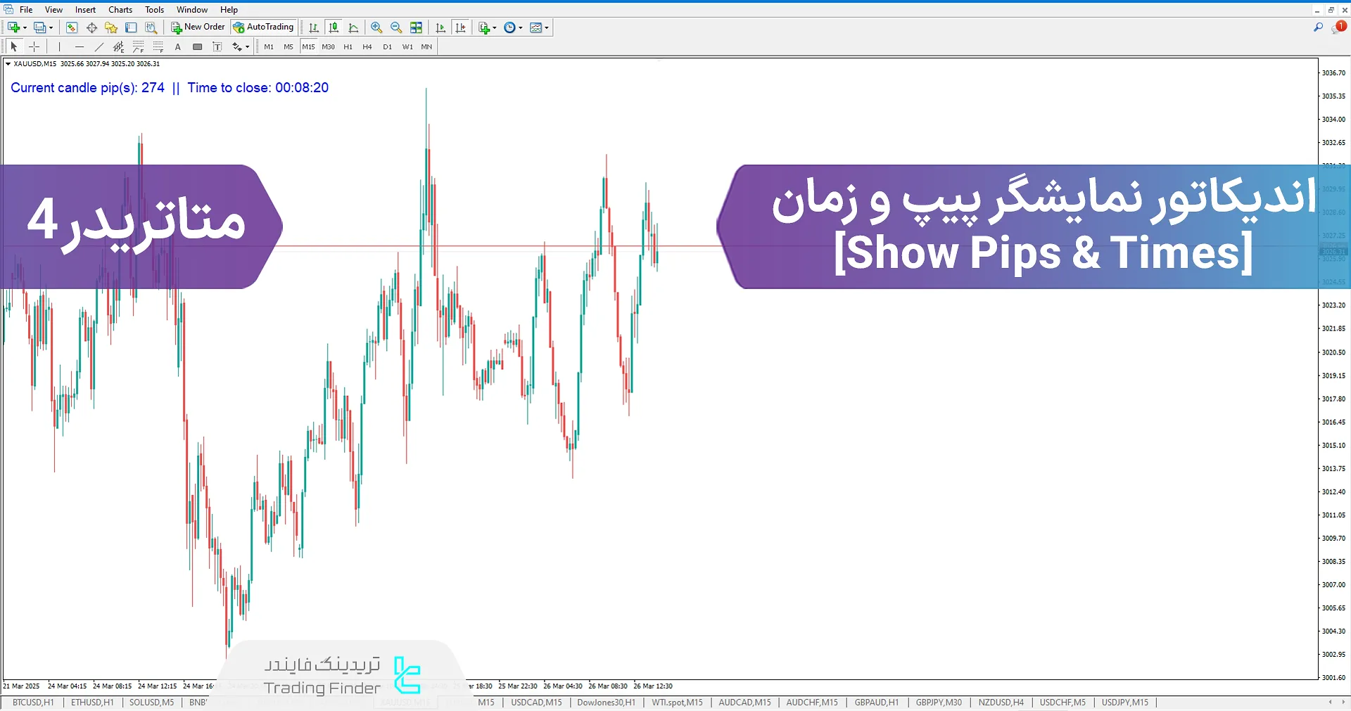 دانلود اندیکاتور نمایشگر پیپ و زمان (Show Pips & Times) در متاتریدر 4 – رایگان – [تریدینگ فایندر]