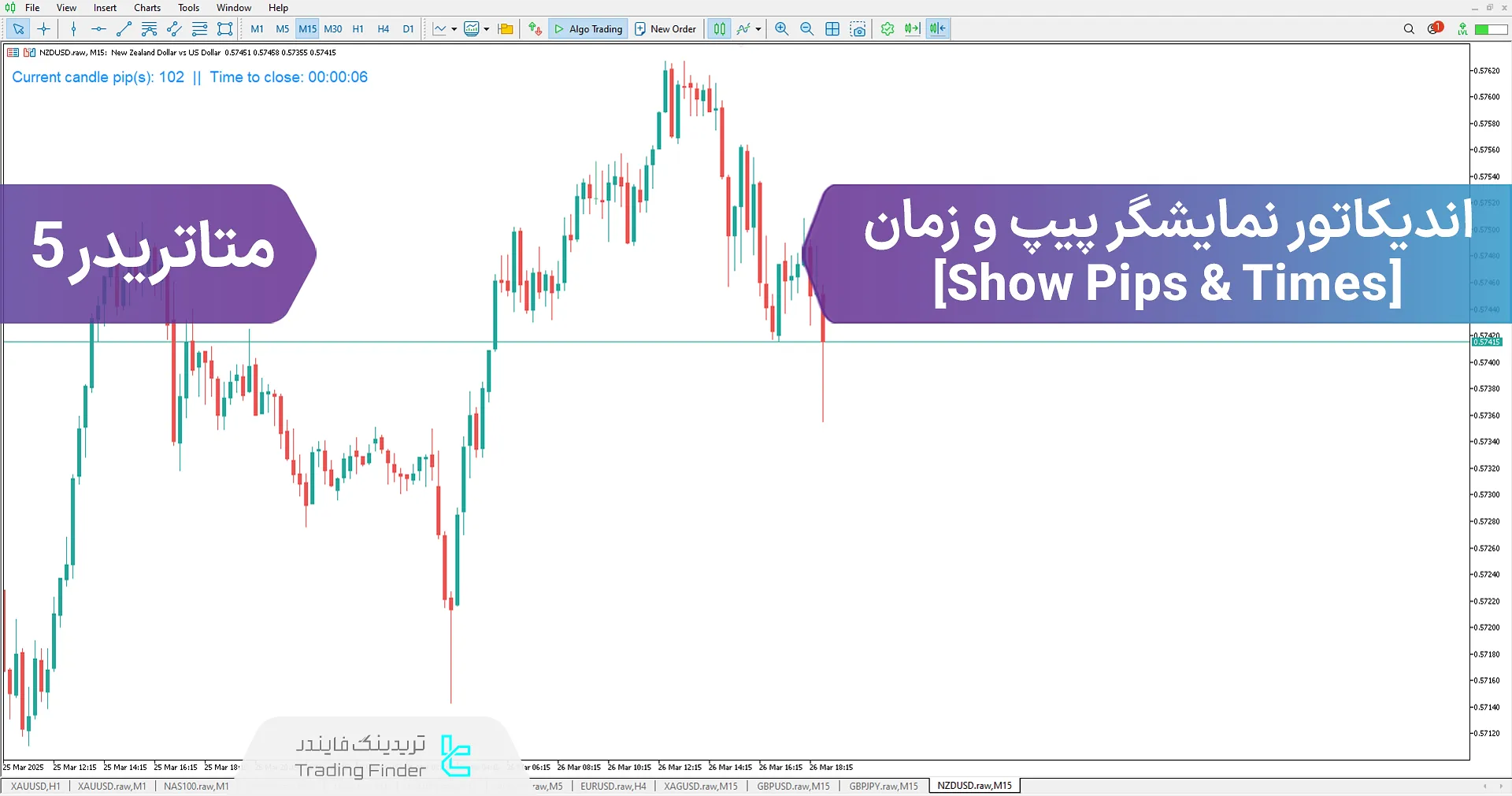 دانلود اندیکاتور نمایشگر پیپ و زمان (Show Pips & Times) در متاتریدر 5 – رایگان – [تریدینگ فایندر]
