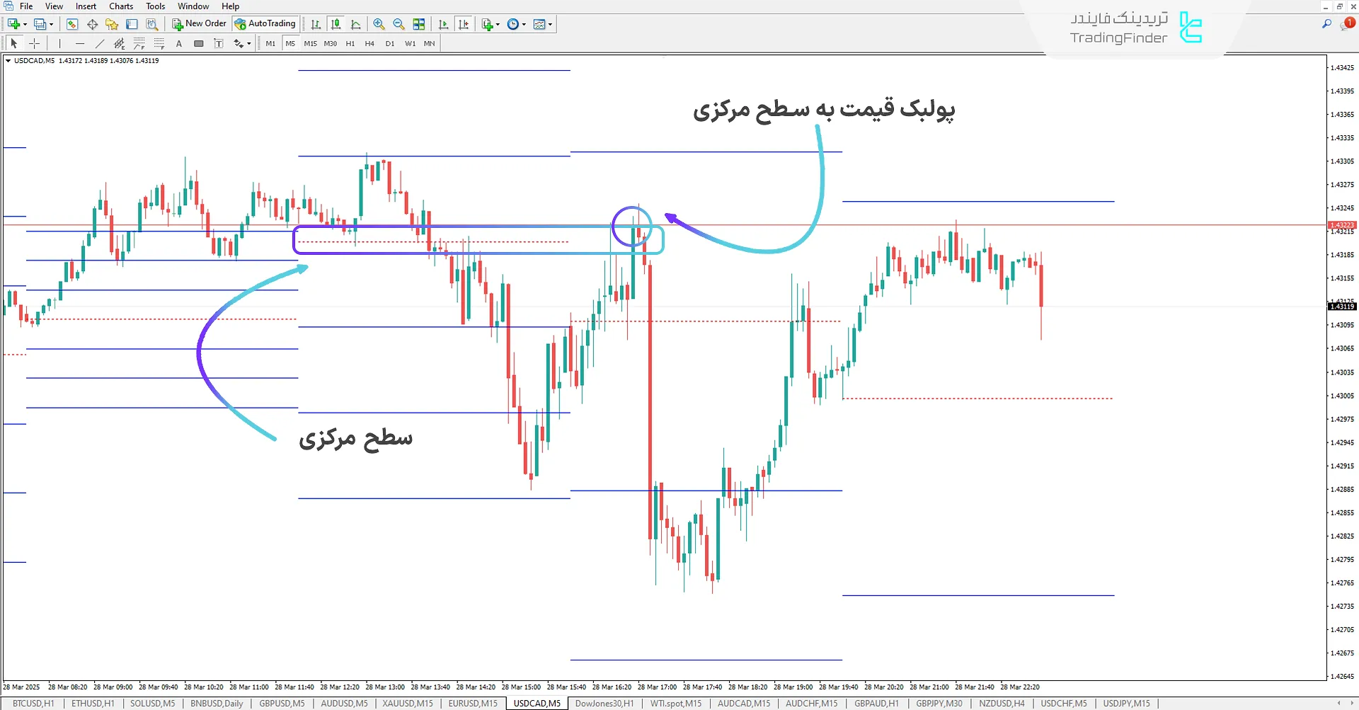 دانلود اندیکاتور سطوح RSI (RSI Levels) برای متاتریدر 4 – رایگان – [تریدینگ فایندر] 2