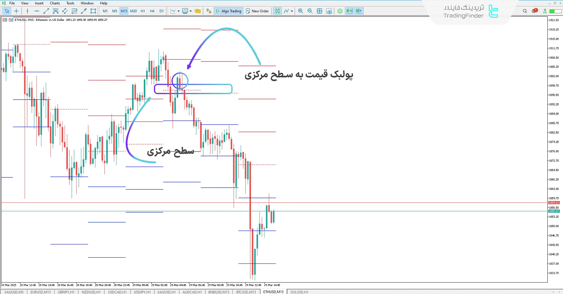 دانلود اندیکاتور سطوح RSI (RSI Levels) برای متاتریدر 5 – رایگان – [تریدینگ فایندر] 2