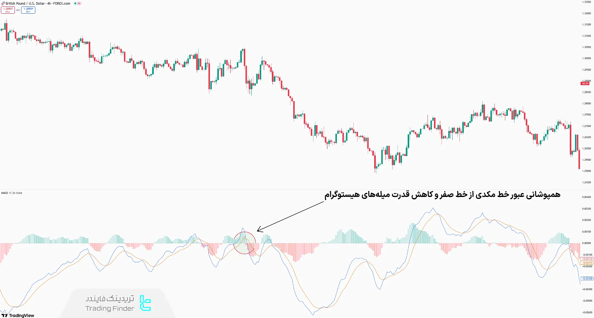 استراتژی تشخیص امواج مومنتوم مکدی