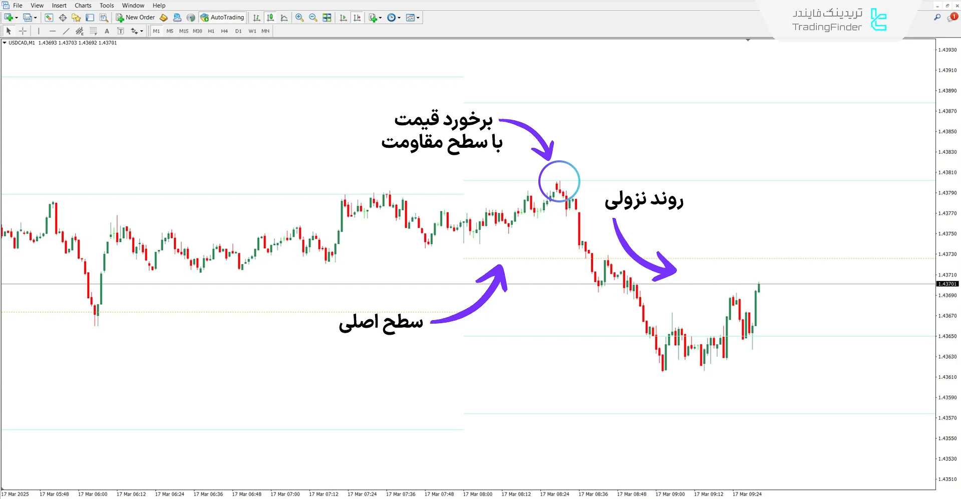 دانلود اندیکاتور سطوح شاخص جریان پول (MFI Levels) در متاتریدر 4 - رایگان 2
