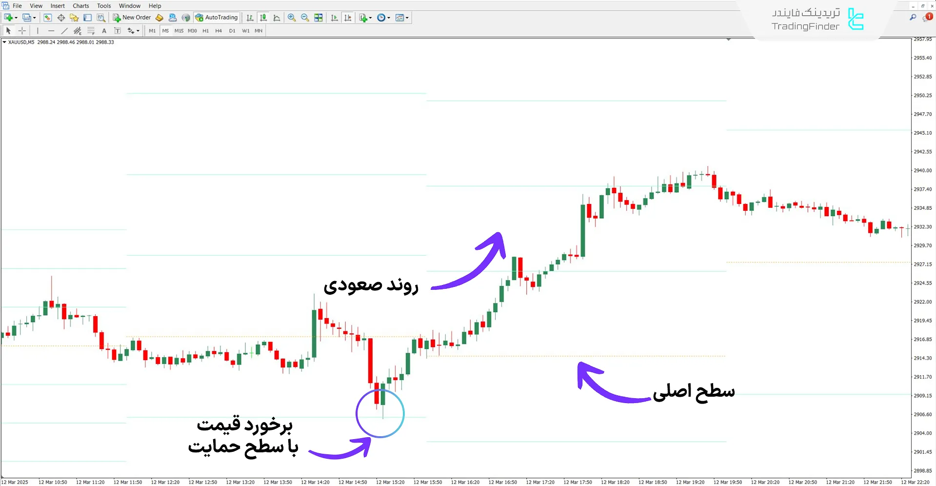 دانلود اندیکاتور سطوح شاخص جریان پول (MFI Levels) در متاتریدر 4 - رایگان 1