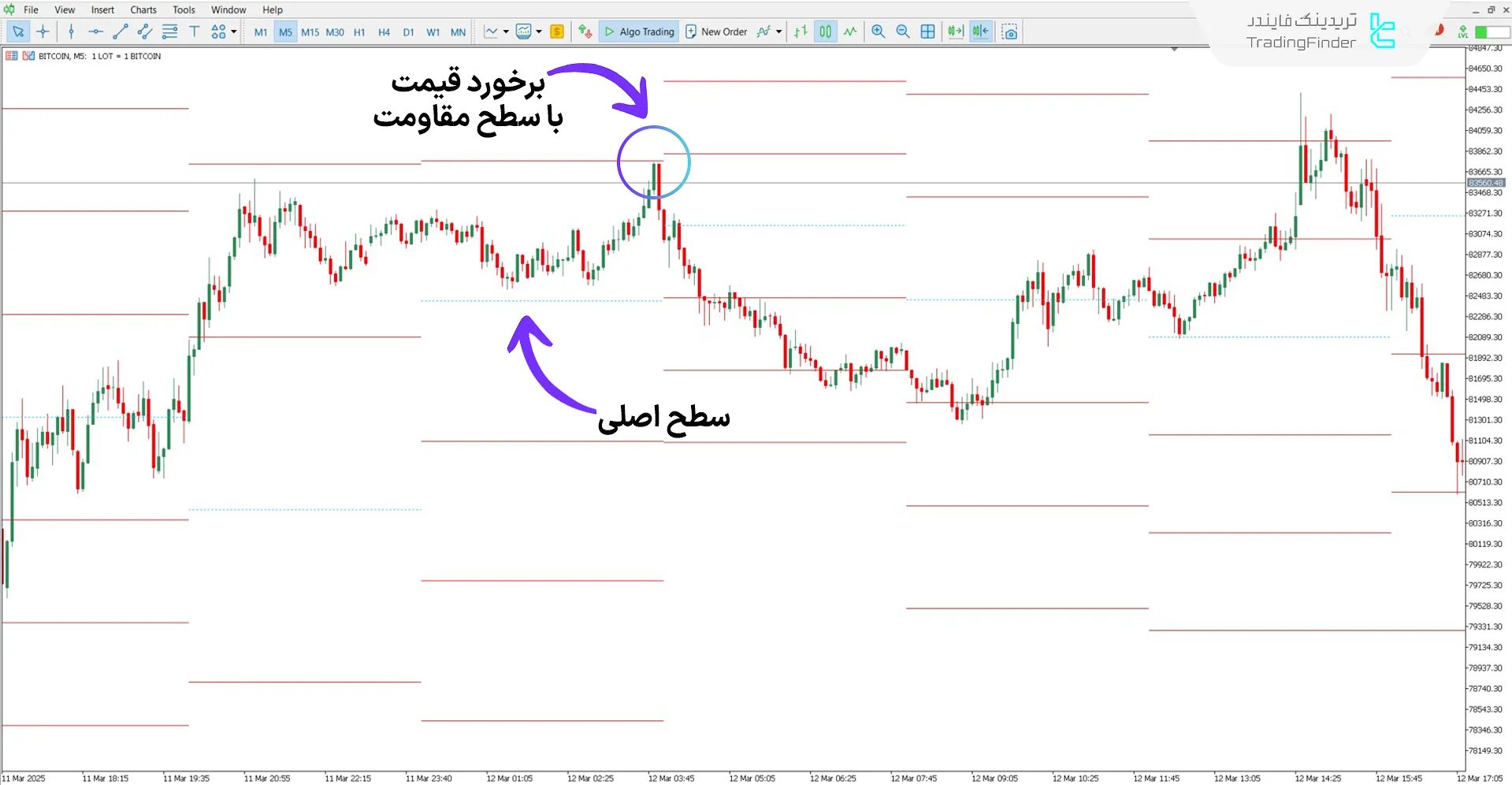 دانلود اندیکاتور سطوح شاخص جریان پول (MFI Levels) در متاتریدر 5 - رایگان 2