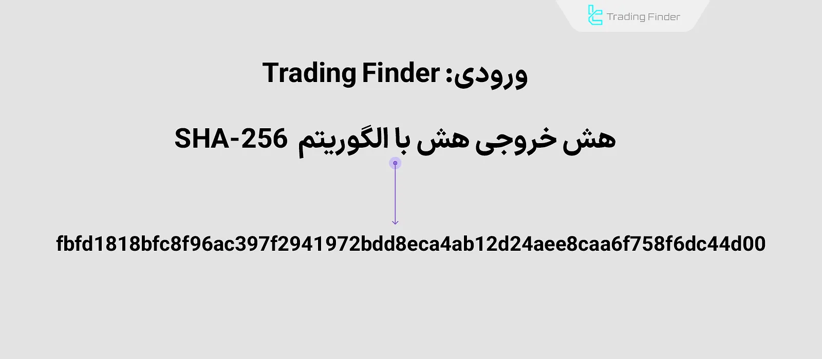 هش خروجی Trading Finder