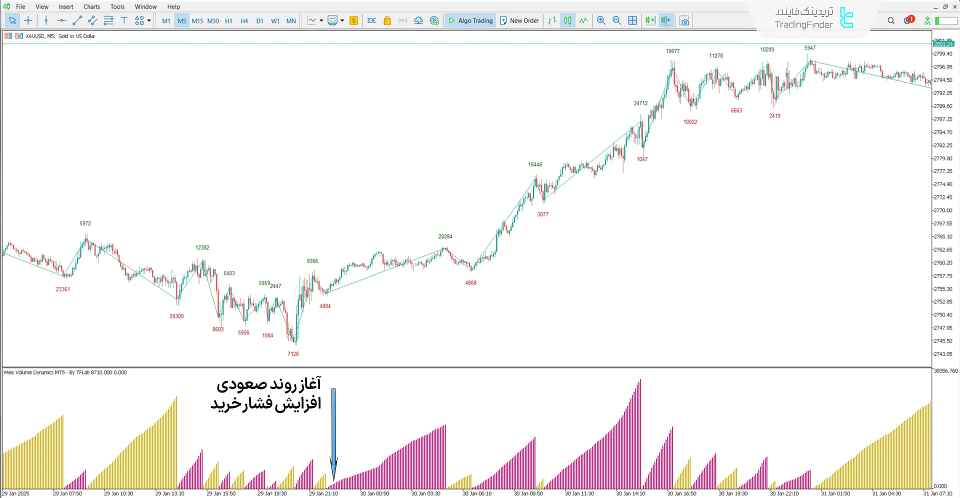 دانلود اندیکاتور پویا حجم ویس (Weis Volume Dynamics) در متاتریدر 5 - رایگان 1