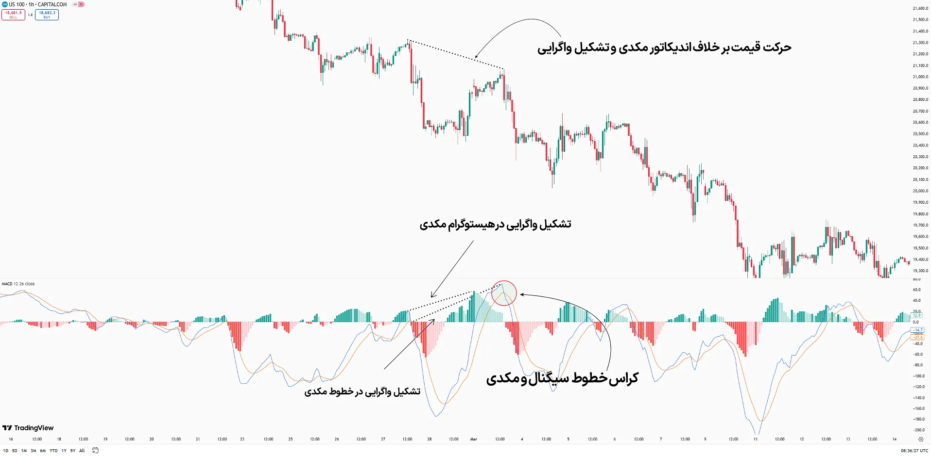 عملکرد مکدی در بازار