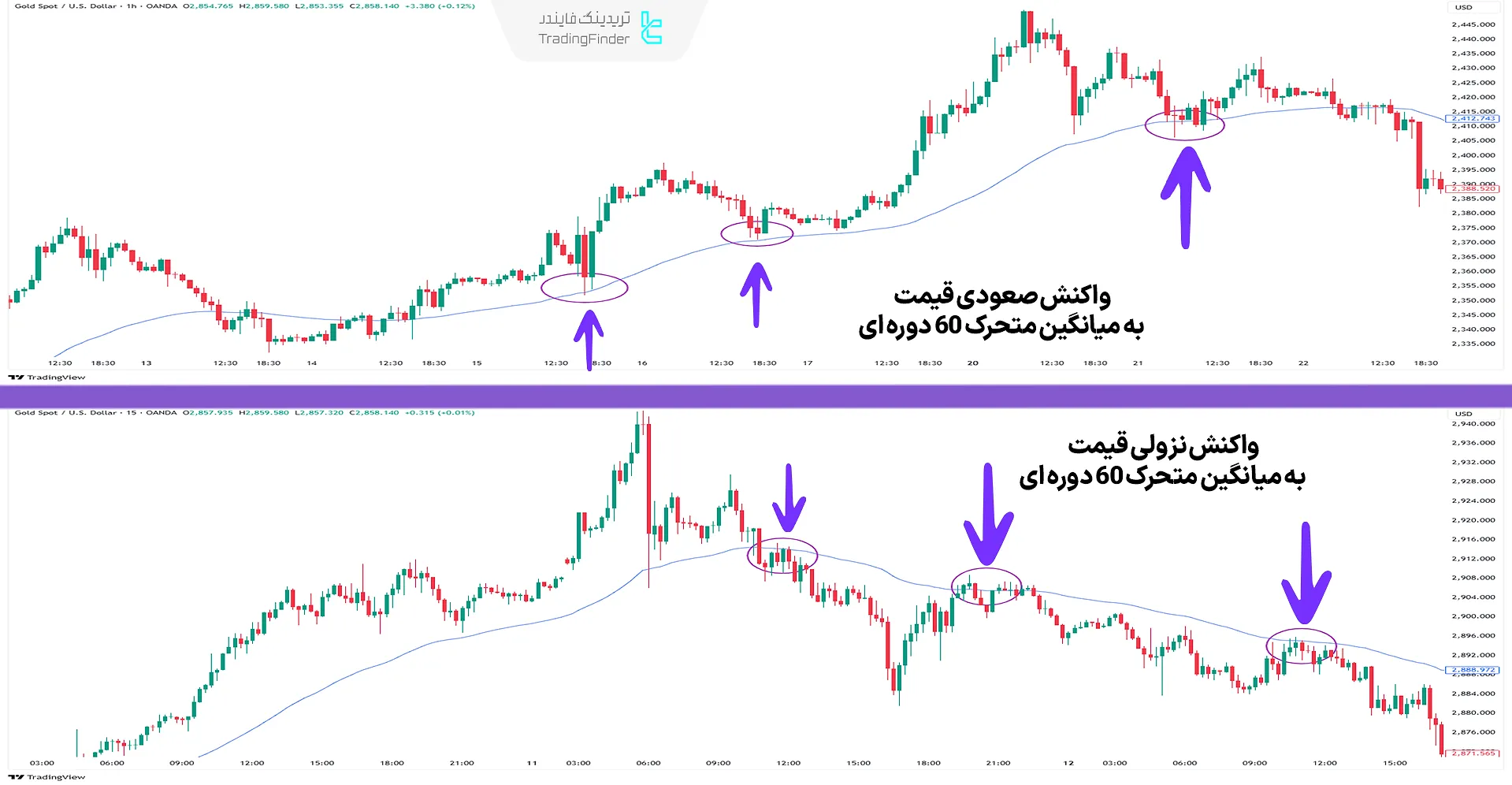 واکنش‌های قیمت به میانگین متحرک در غالب حمایت و مقاومت