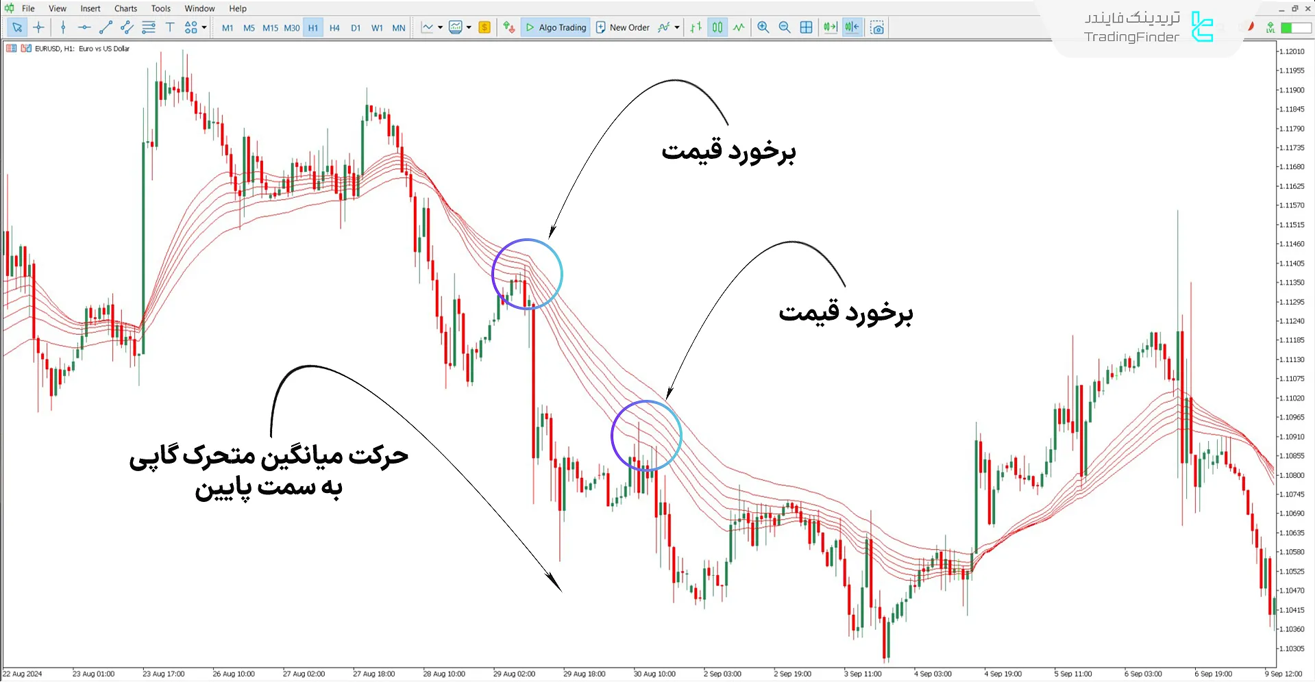 دانلود اندیکاتور میانگین متحرک چندگانه گاپی (GMMA) برای متاتریدر 5 2