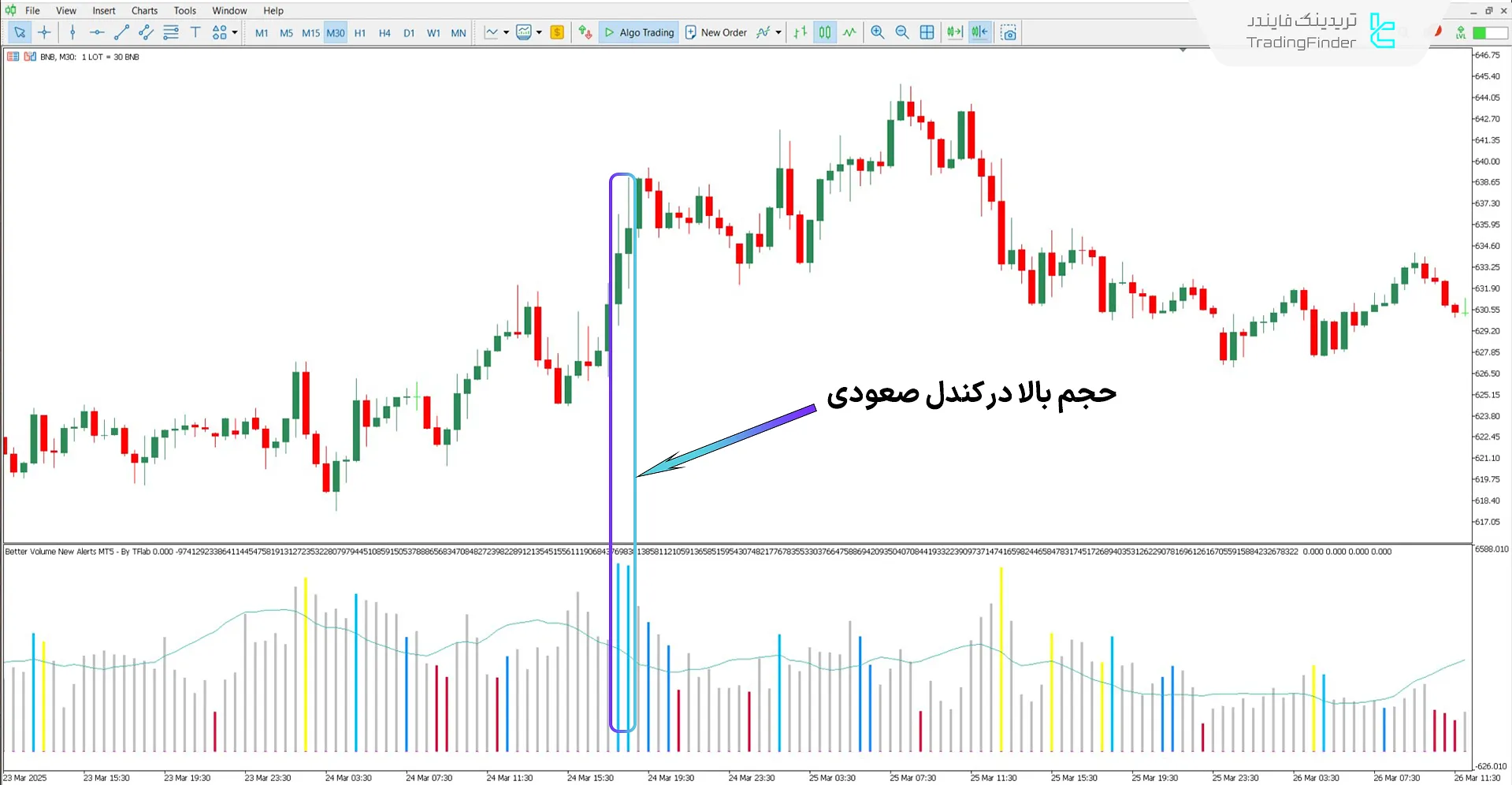 دانلود اندیکاتور حجم بهتر همراه با هشدار برای متاتریدر 5 - رایگان 1
