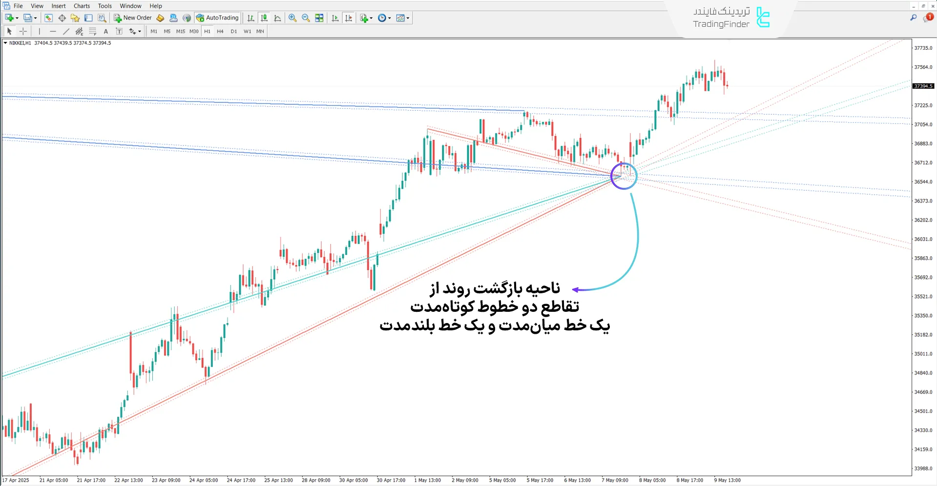 دانلود اندیکاتور خطوط پیوت خودکار (Auto Pivot Lines) در متاتریدر 4 1