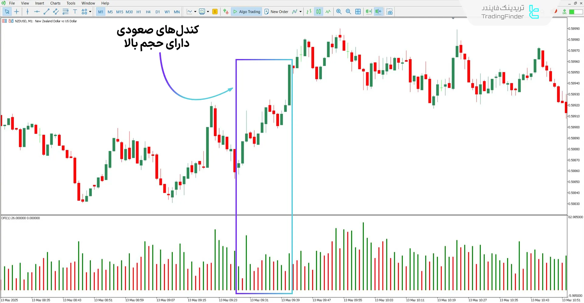 دانلود اسیلاتور معاملهگر اوردر فلو (Order Flow Trader) برای متاتریدر 5 1