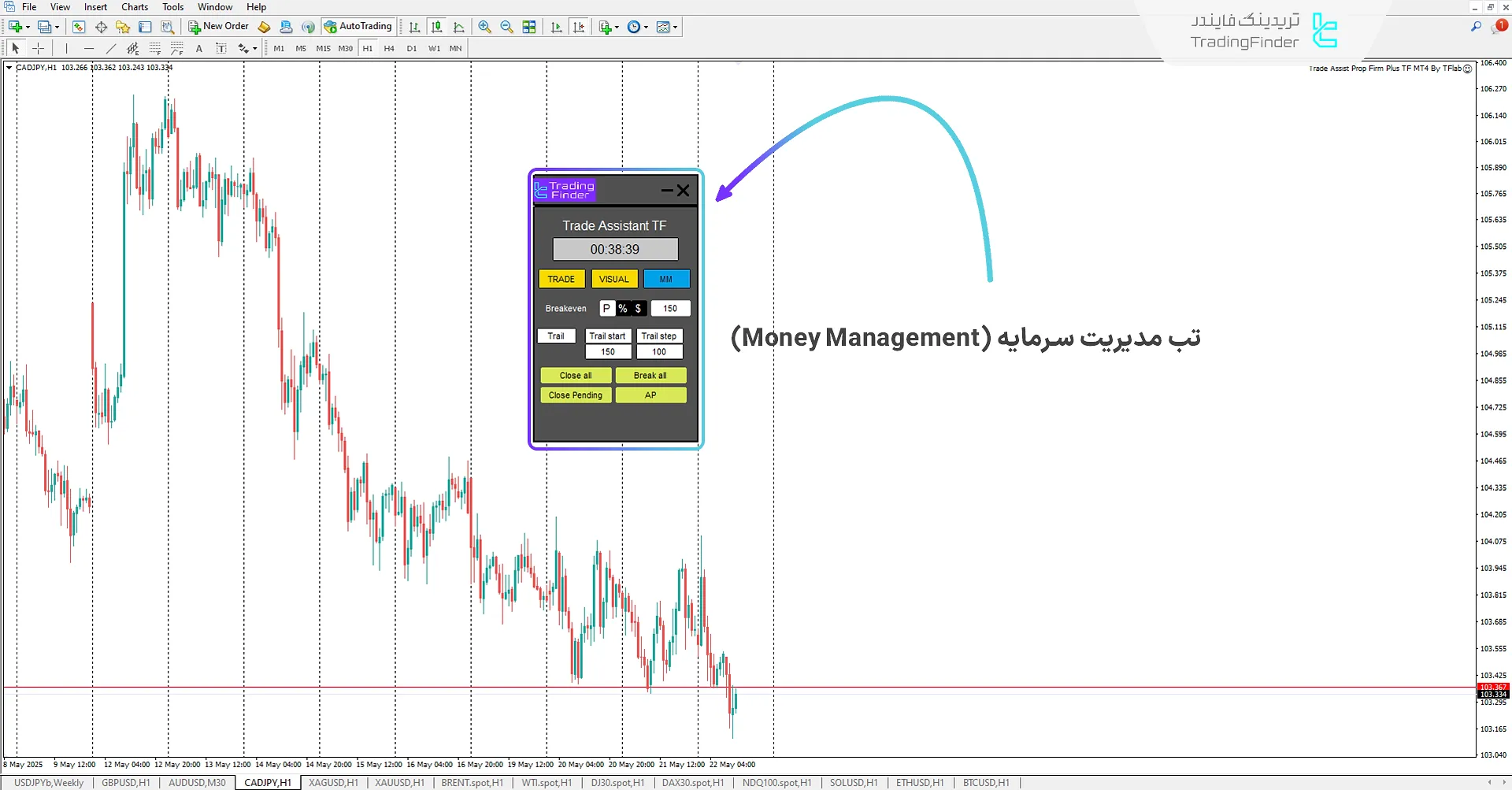 تب مدیریت ریسک و سرمایه (MM)