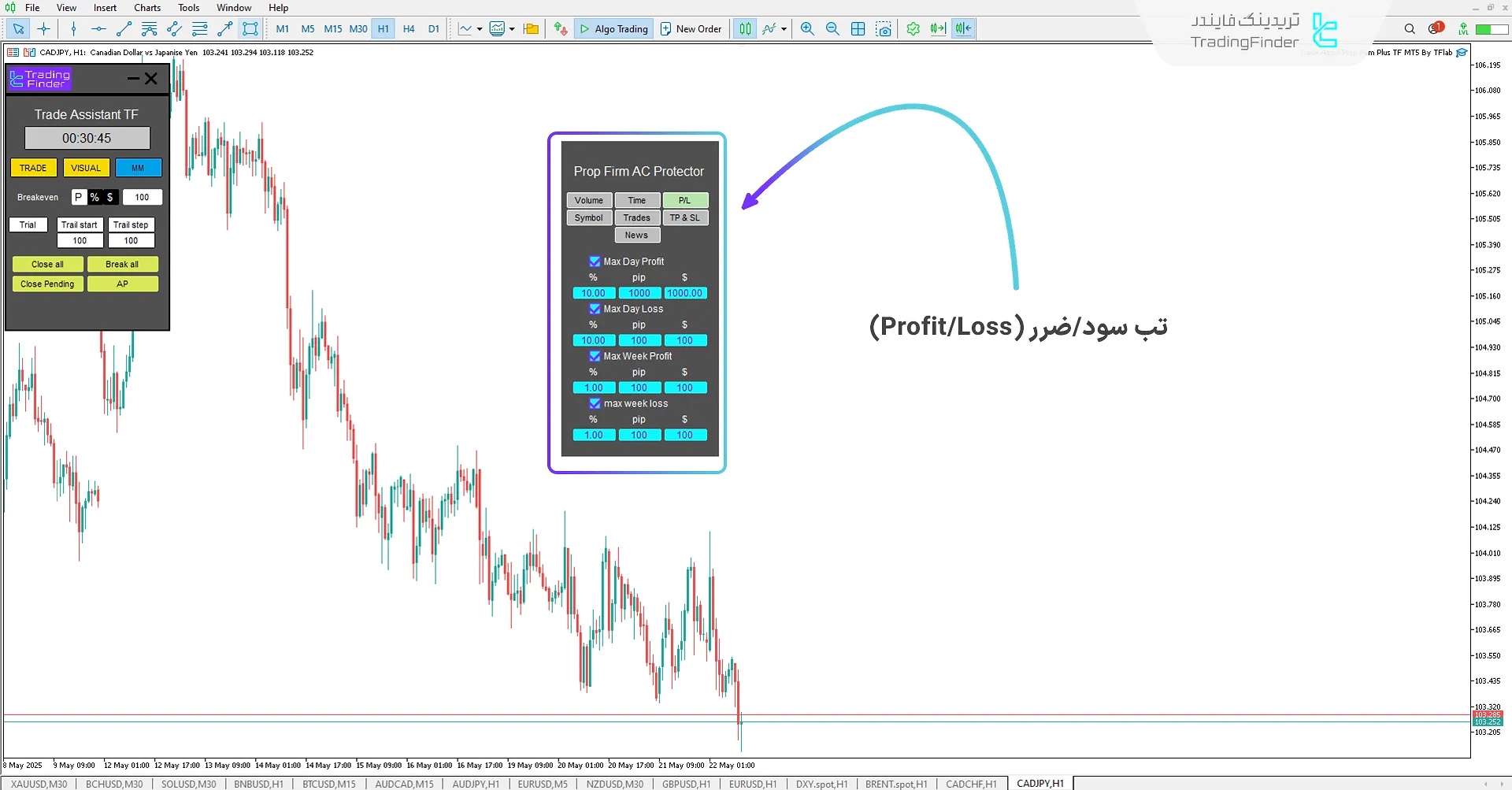 تب سود/زیان (P/L) در اکسپرت دستیار معاملات پراپ فرم پلاس TF