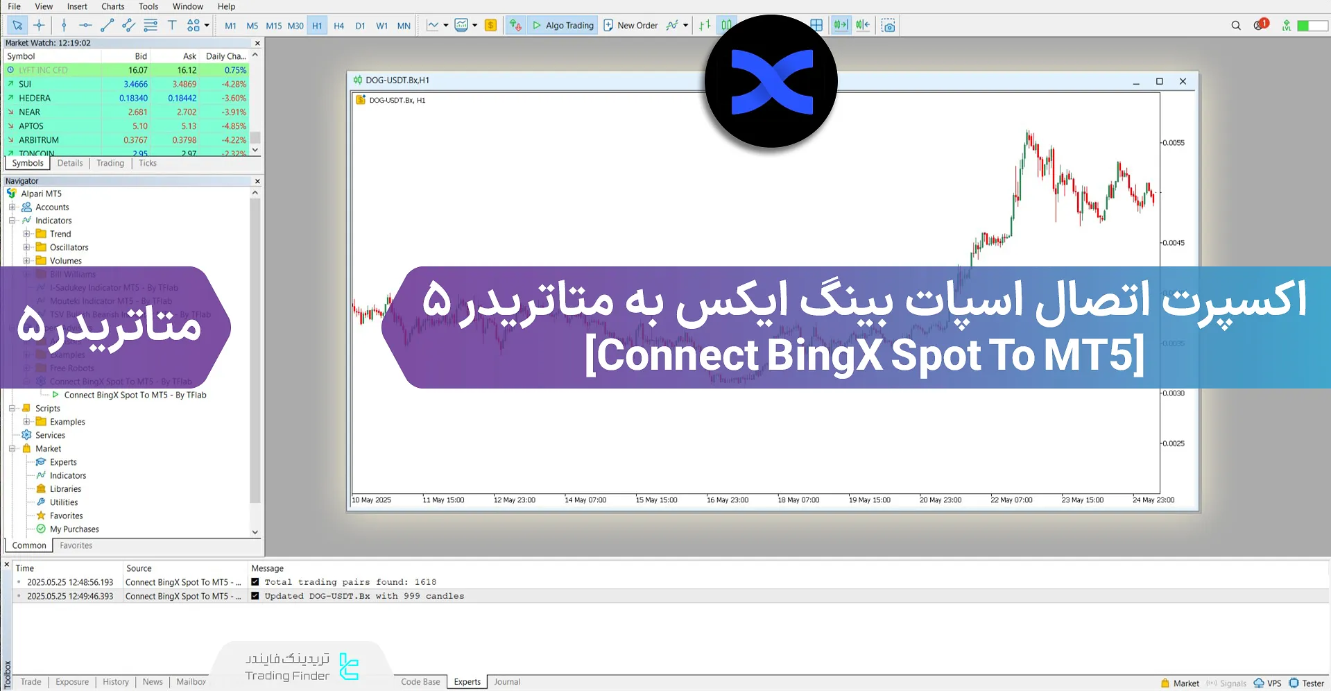 دانلود سرویس اتصال اسپات بینگ ایکس به متاتریدر 5 – [تریدینگ فایندر]