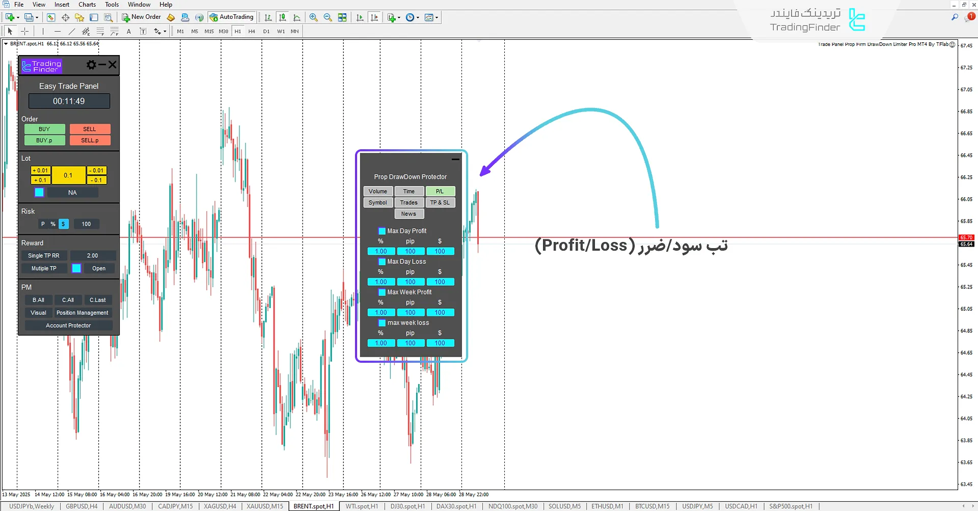 تب تعیین مقدار سود/زیان (P/L) در اکسپرت پنل معامله پراپ فرم با محدودکننده دراودان حرفه‌ای