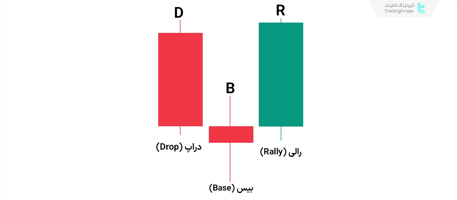دراپ بیس رالی در سبک RTM