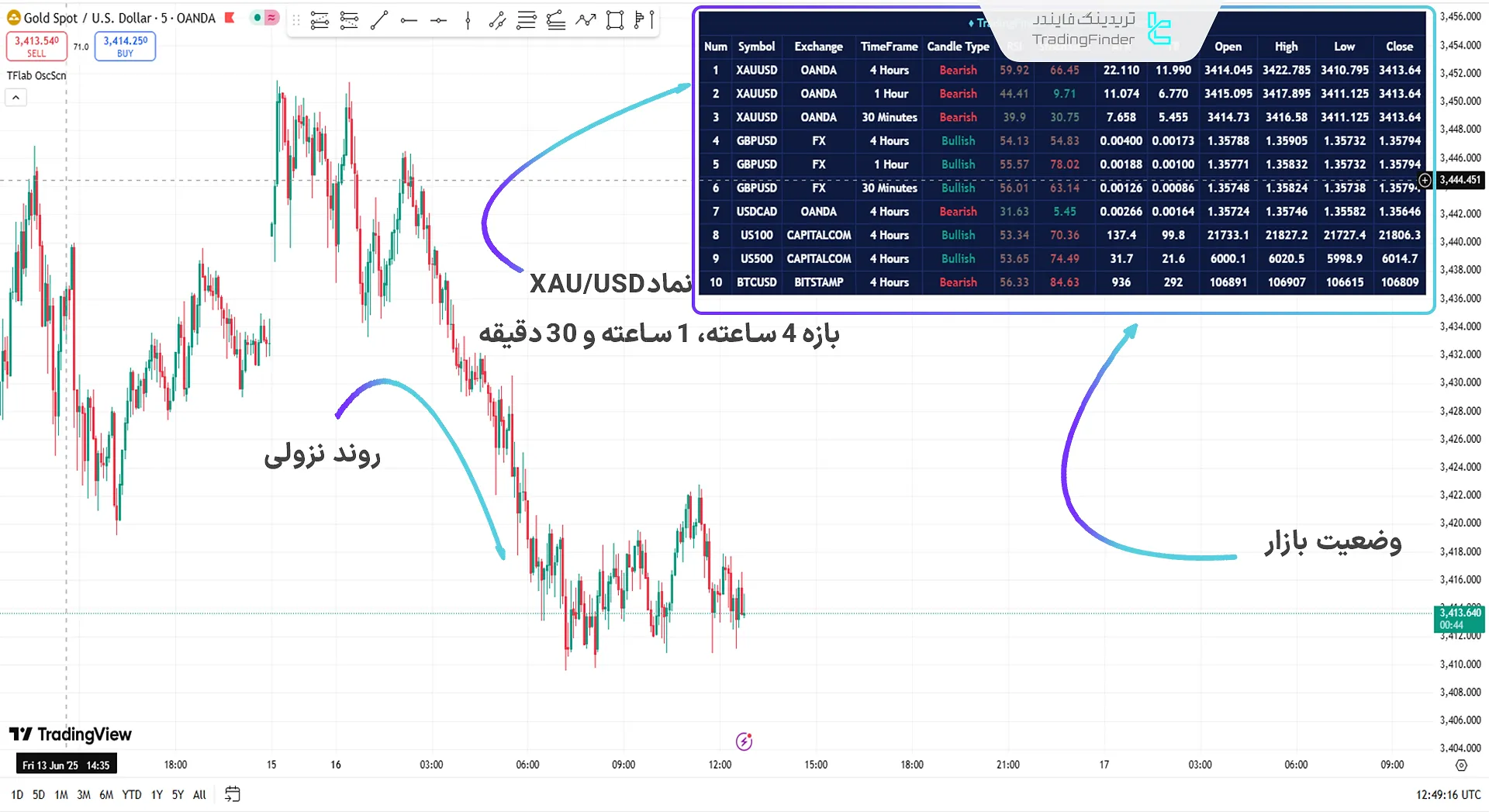 پنل تخصصی با ارائه اطلاعات مختلف
