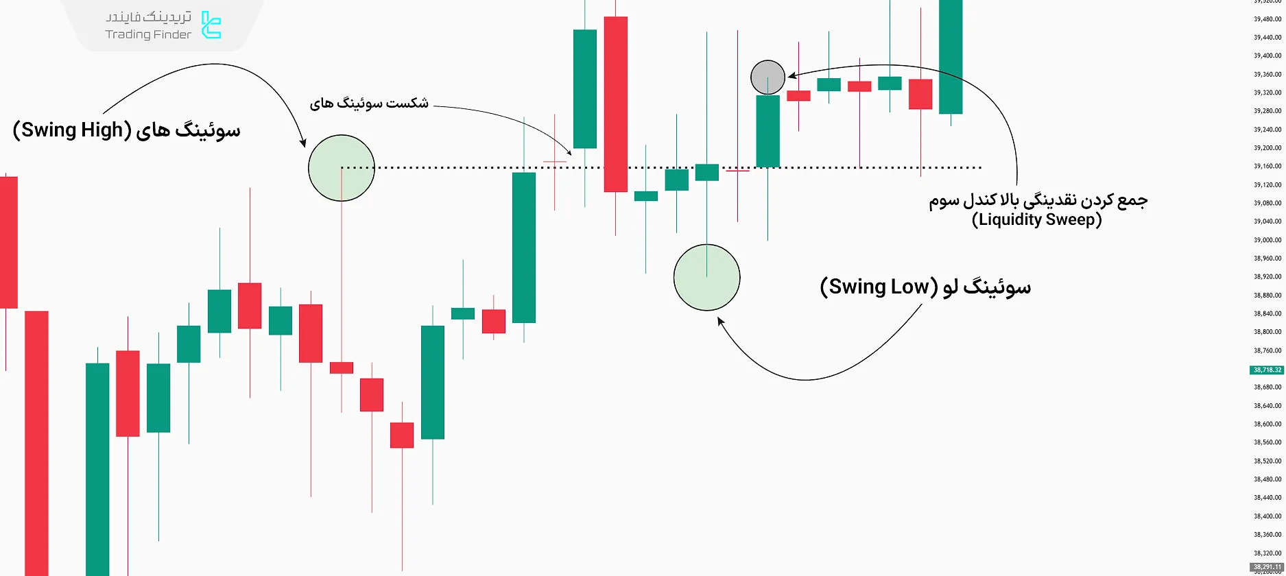 تعیین بایاس روزانه