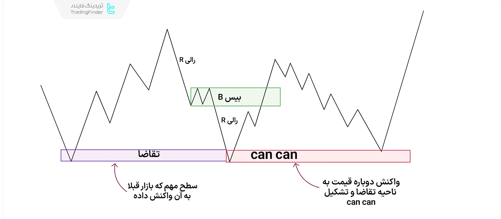 تشکیل الگو Can Can