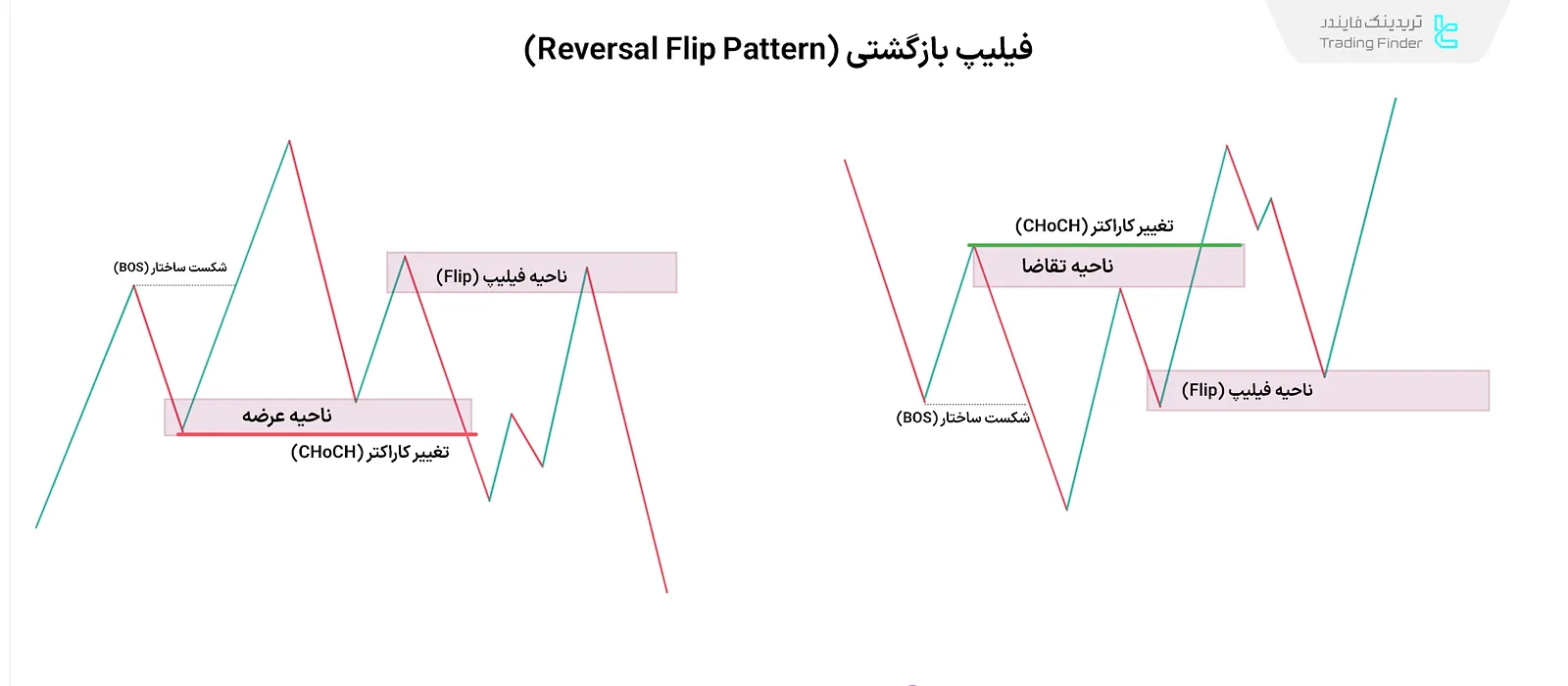 ناحیه فیلیپ اسمارت مانی