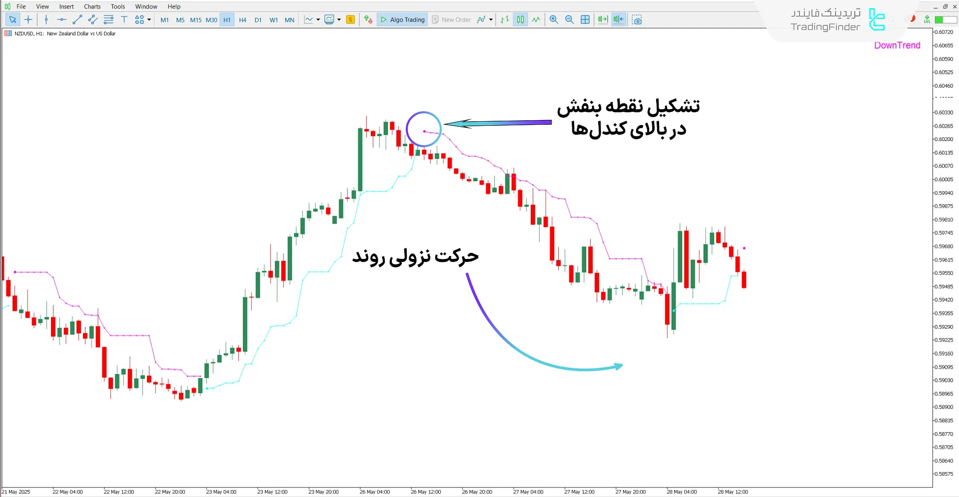 دانلود اندیکاتور Legacy Trader (معامله گر حرفه ای) متاتریدر 5 – رایگان – [تریدینگ فایندر] 2