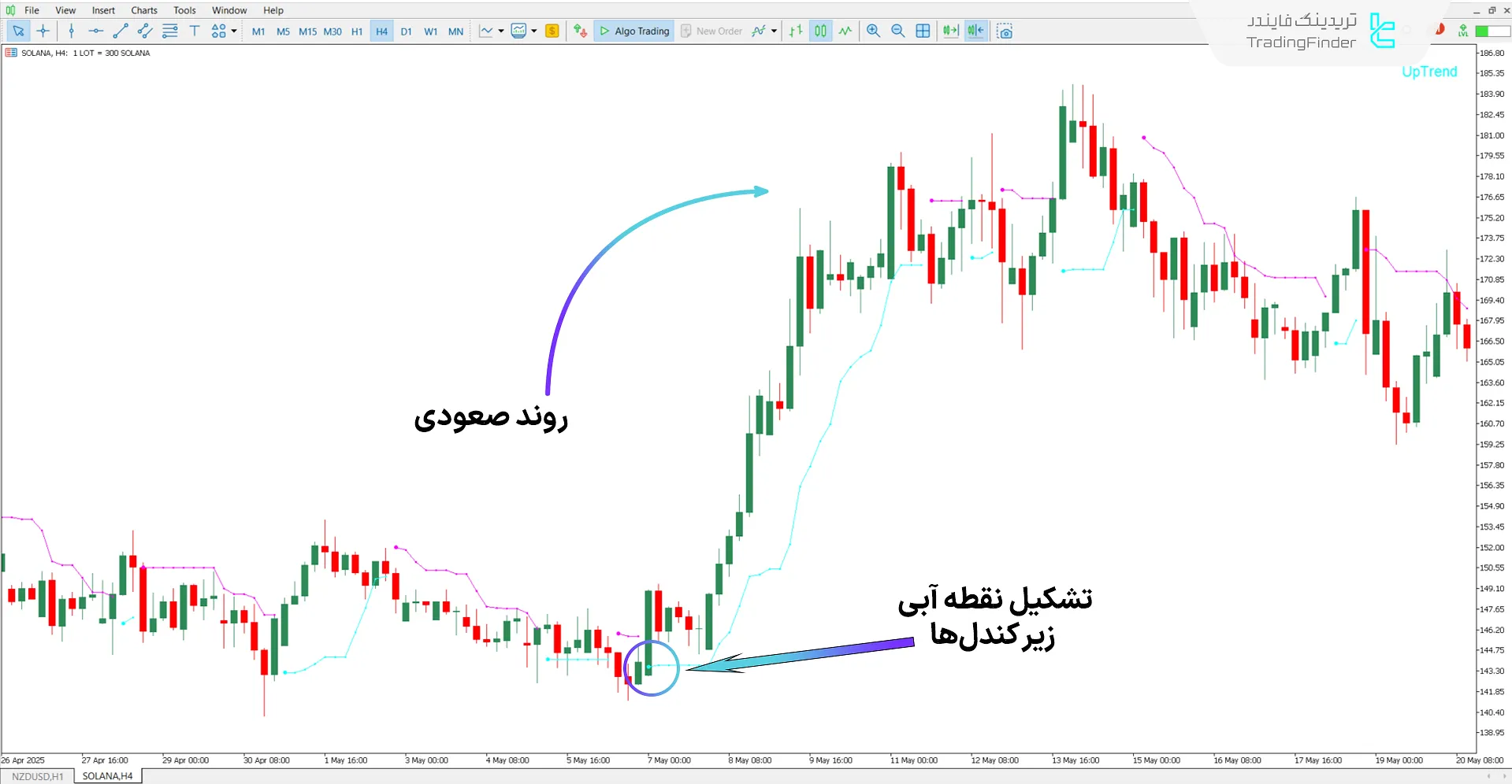 دانلود اندیکاتور Legacy Trader (معامله گر حرفه ای) متاتریدر 5 – رایگان – [تریدینگ فایندر] 1