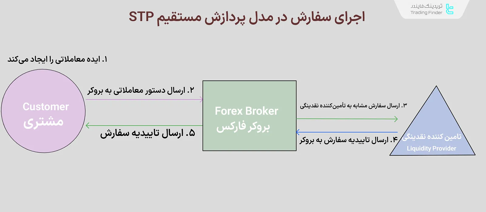 مراحل پردازش مستقیم STP