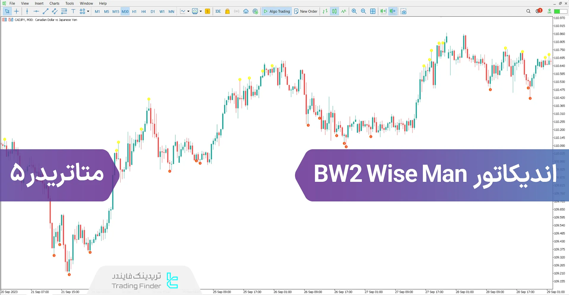 دانلود اندیکاتور BW2 Wise Man در متاتریدر 5 - رایگان - [تریدینگ فایندر]
