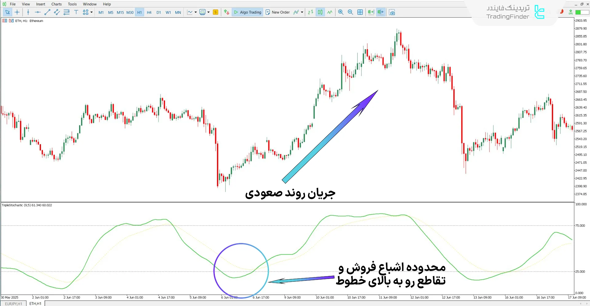 دانلود اسیلاتور استوکاستیک سهگانه (Triple Stochastic) برای متاتریدر 5 - رایگان 1