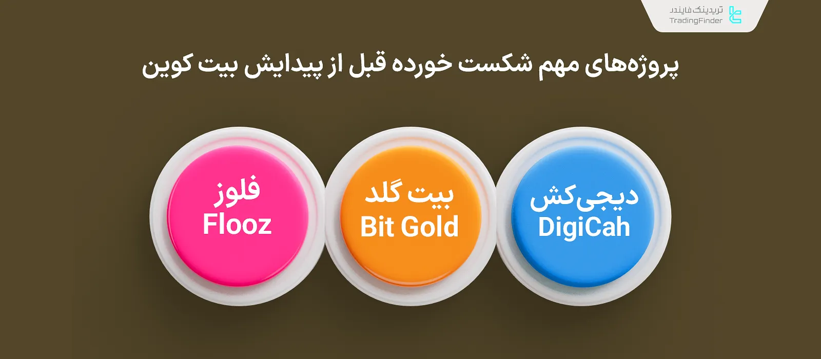 پروژه‌های مهم شکست خورده پیش از بیت کوین