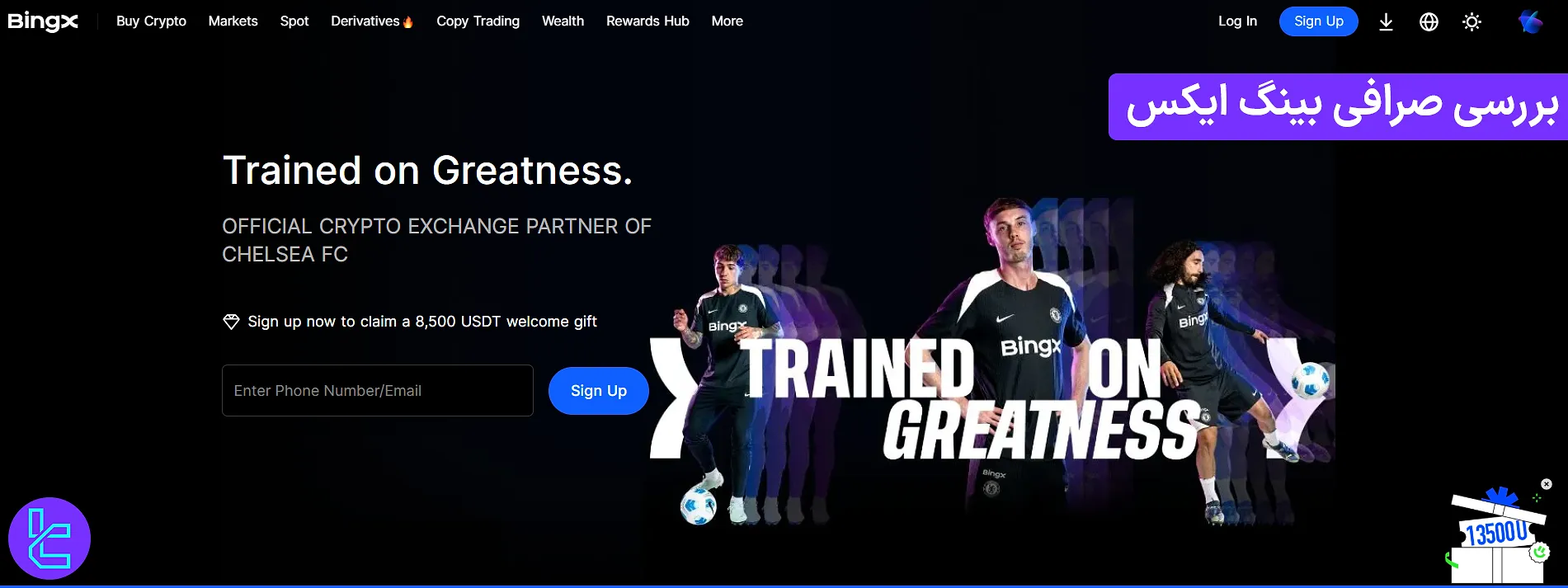 صرافی بینگ ایکس