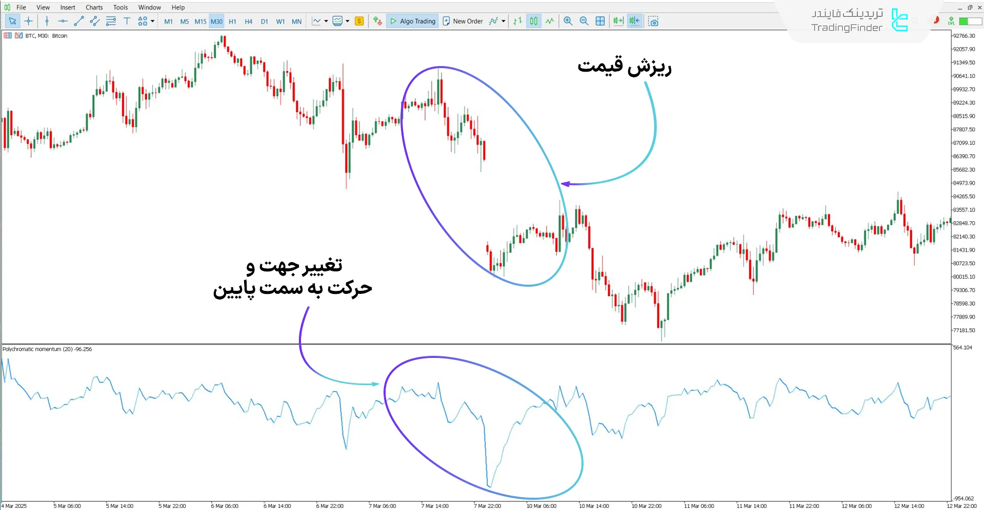 دانلود اسیلاتور مومنتوم چند رنگ (Polychromatic Momentum) در متاتریدر 5 - رایگان 2