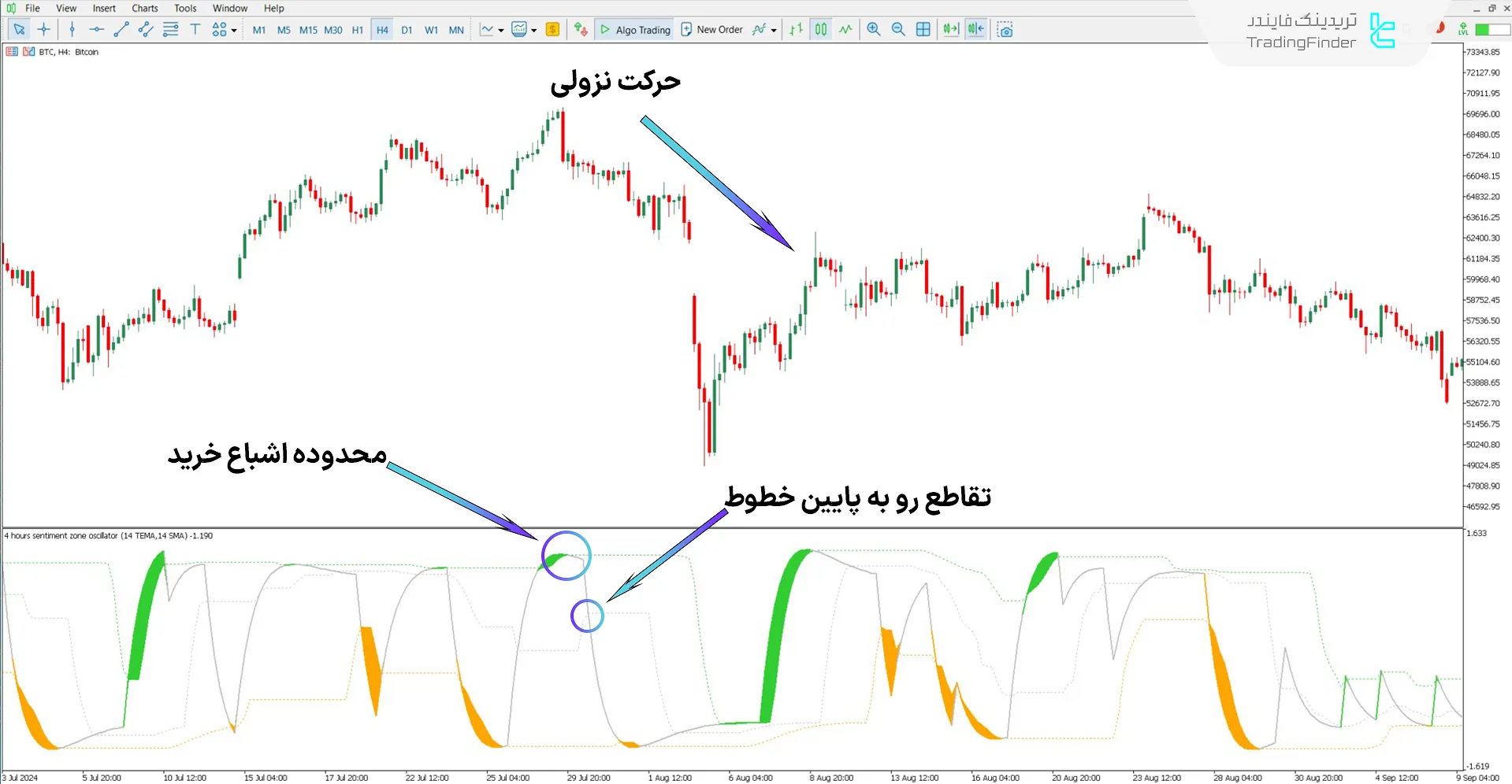 تحلیل نمودار نزولی بیت کوین با اسیلاتور Sentiment Ratio