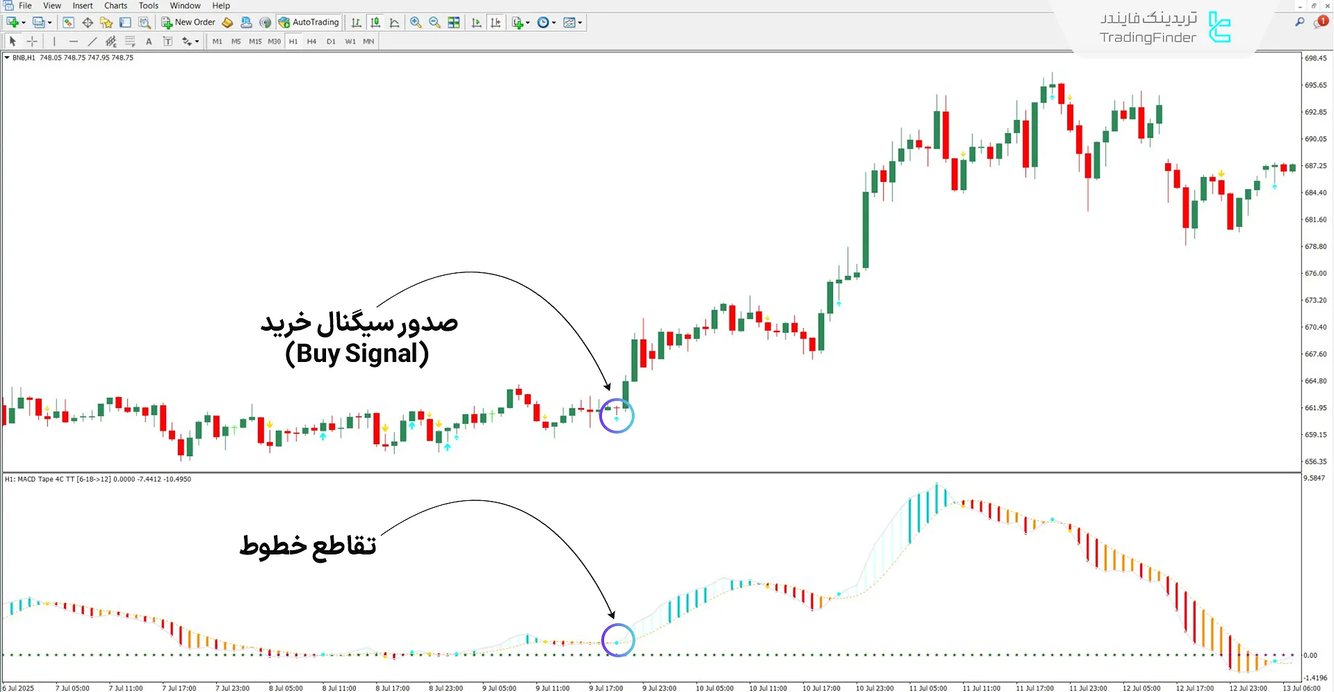 اندیکاتور MACD Tape در روند صعودی