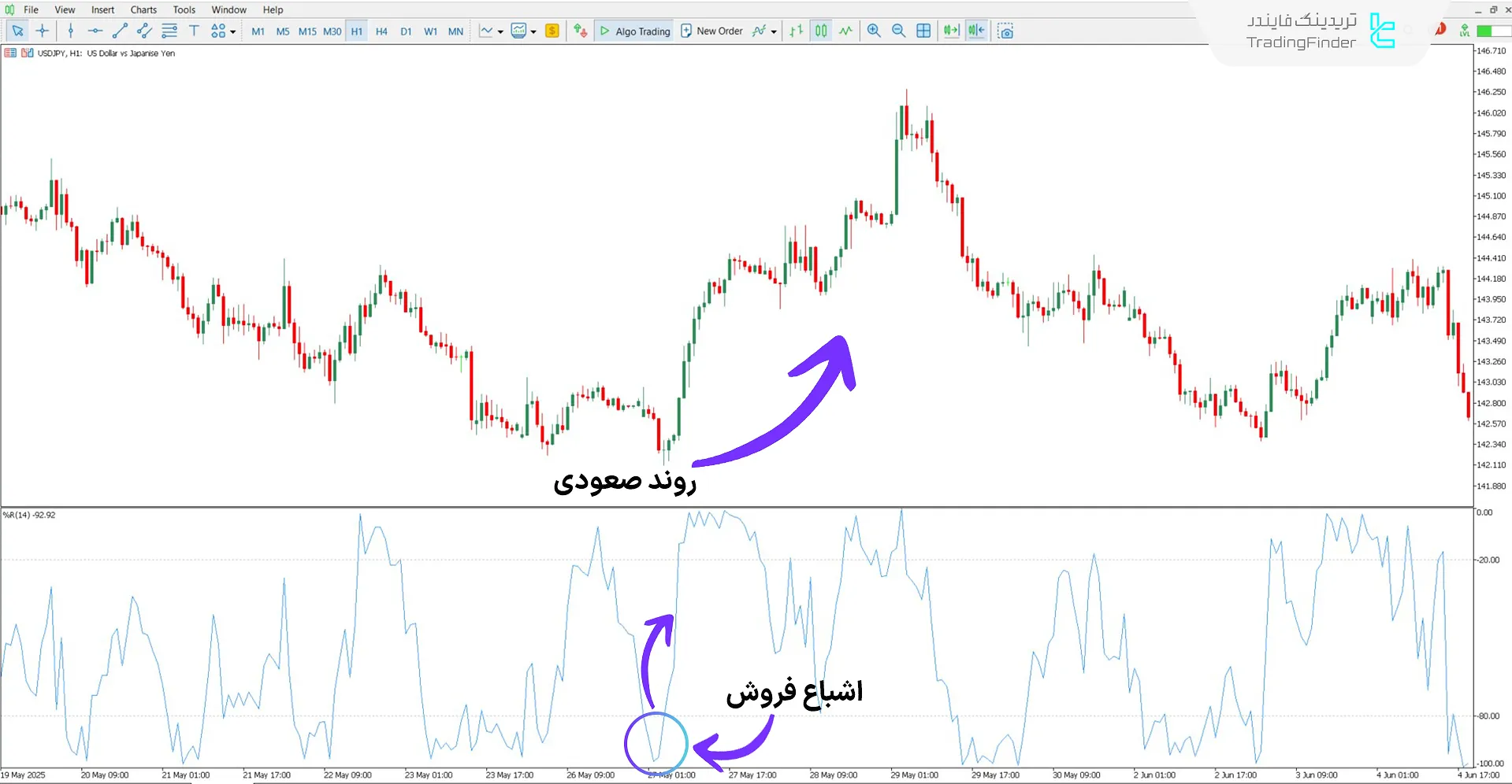 دانلود اسیلاتور WPR با هشدار (Williams Percent Range Alert) برای متاتریدر 5 1