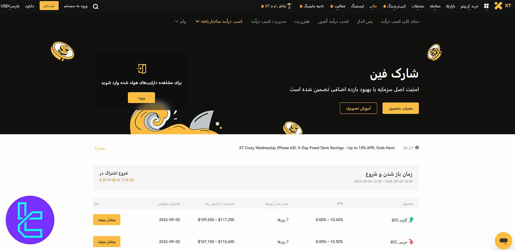 پلن Shark Fin در صرافی XT